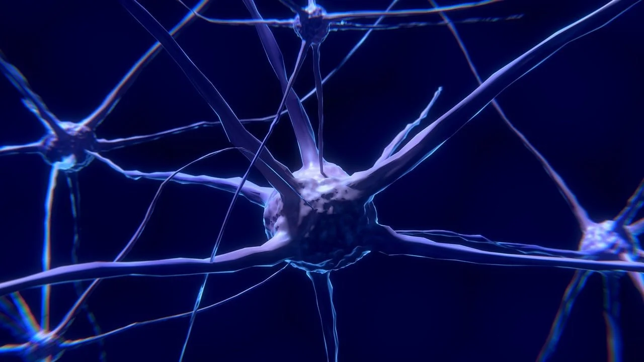 a lived story explaining therapeutic somatic repatterning...