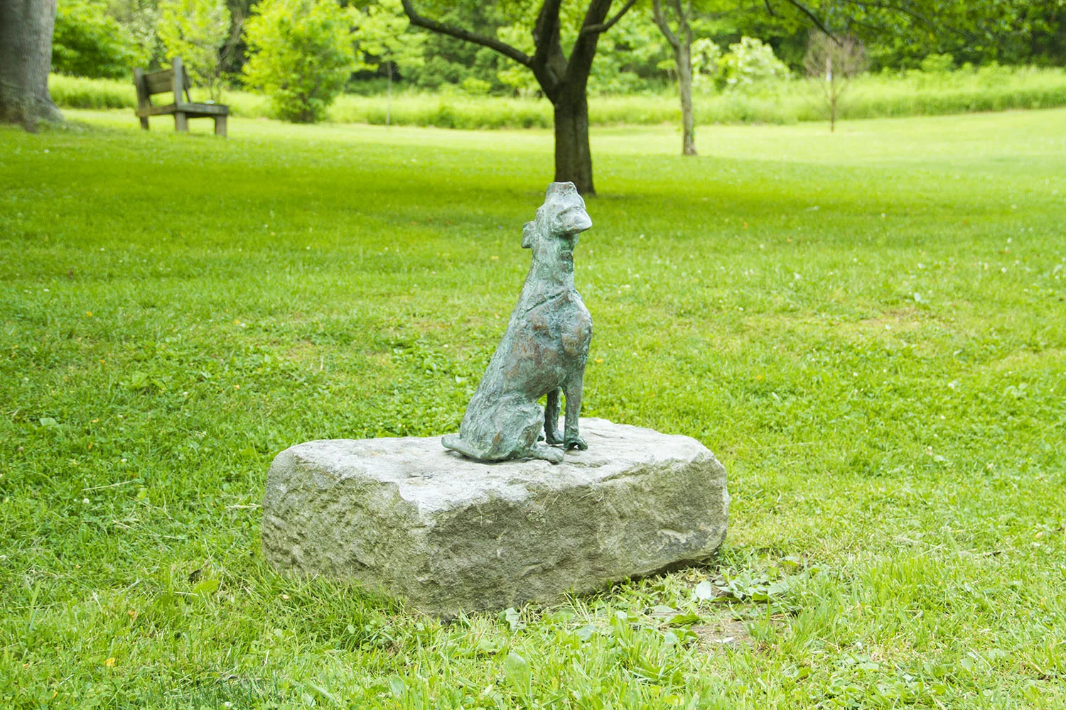Sitting Dog Jan Desmarets (4).jpg