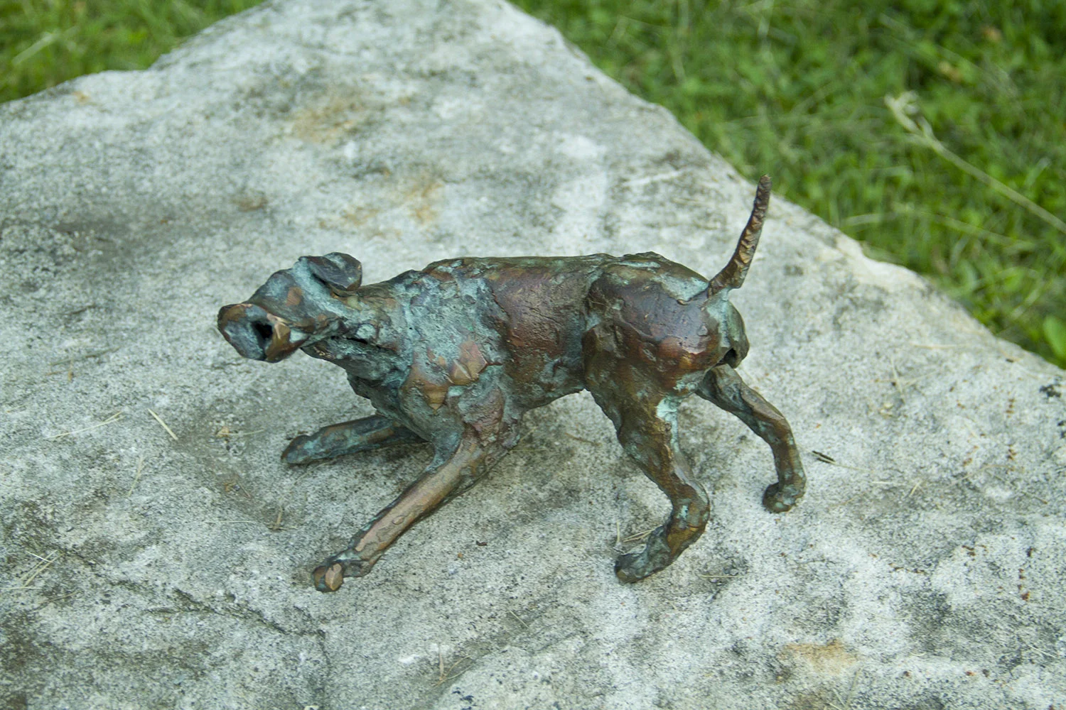 playin dog jan desmarets (2).jpg