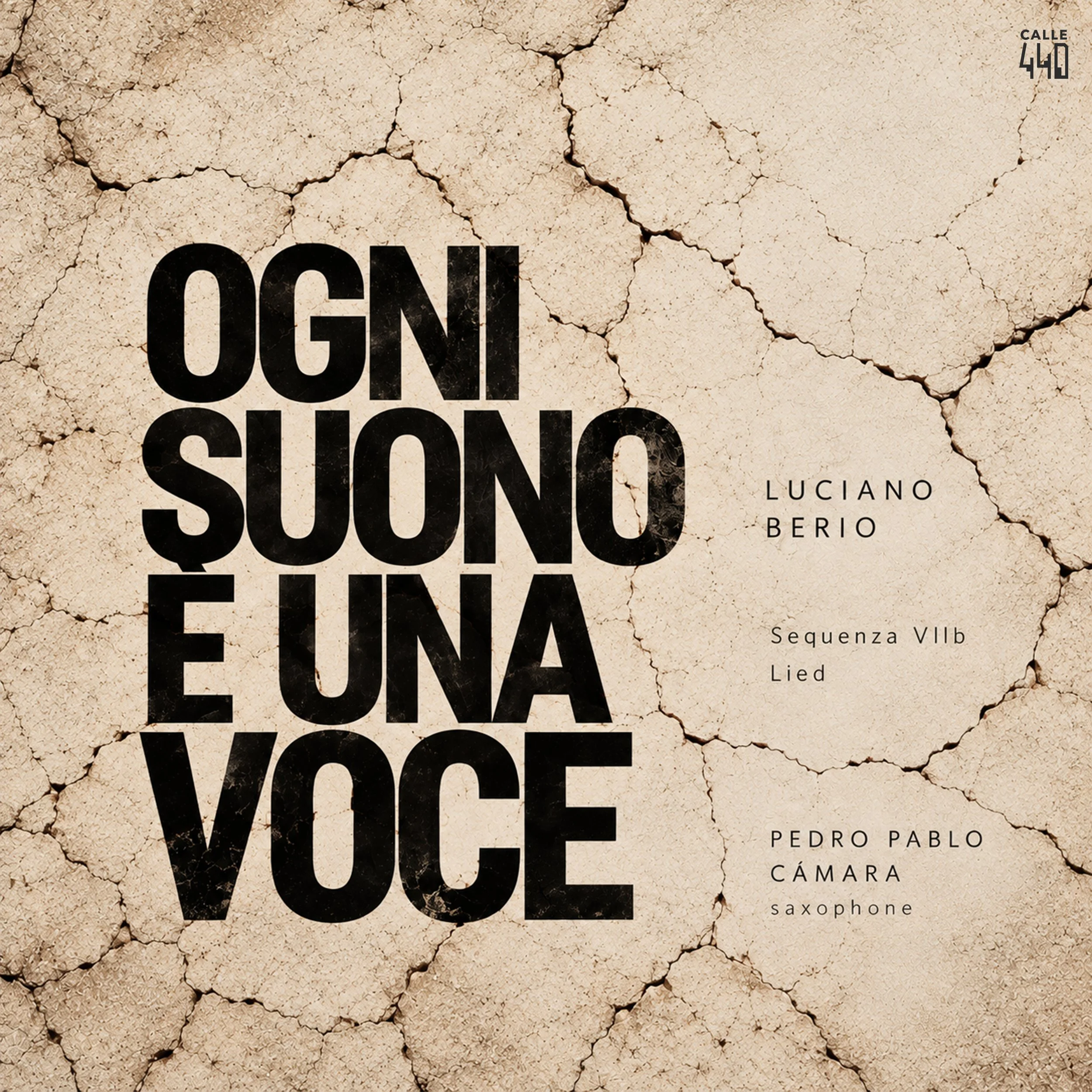 OGNI SUONO È UNA VOCE - NEW ALBUM RELEASE