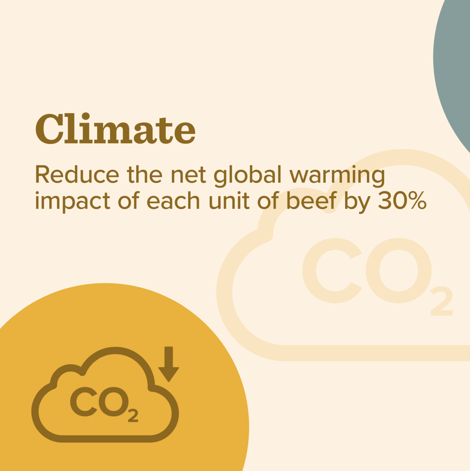 Global Roundtable for Sustainable Beef