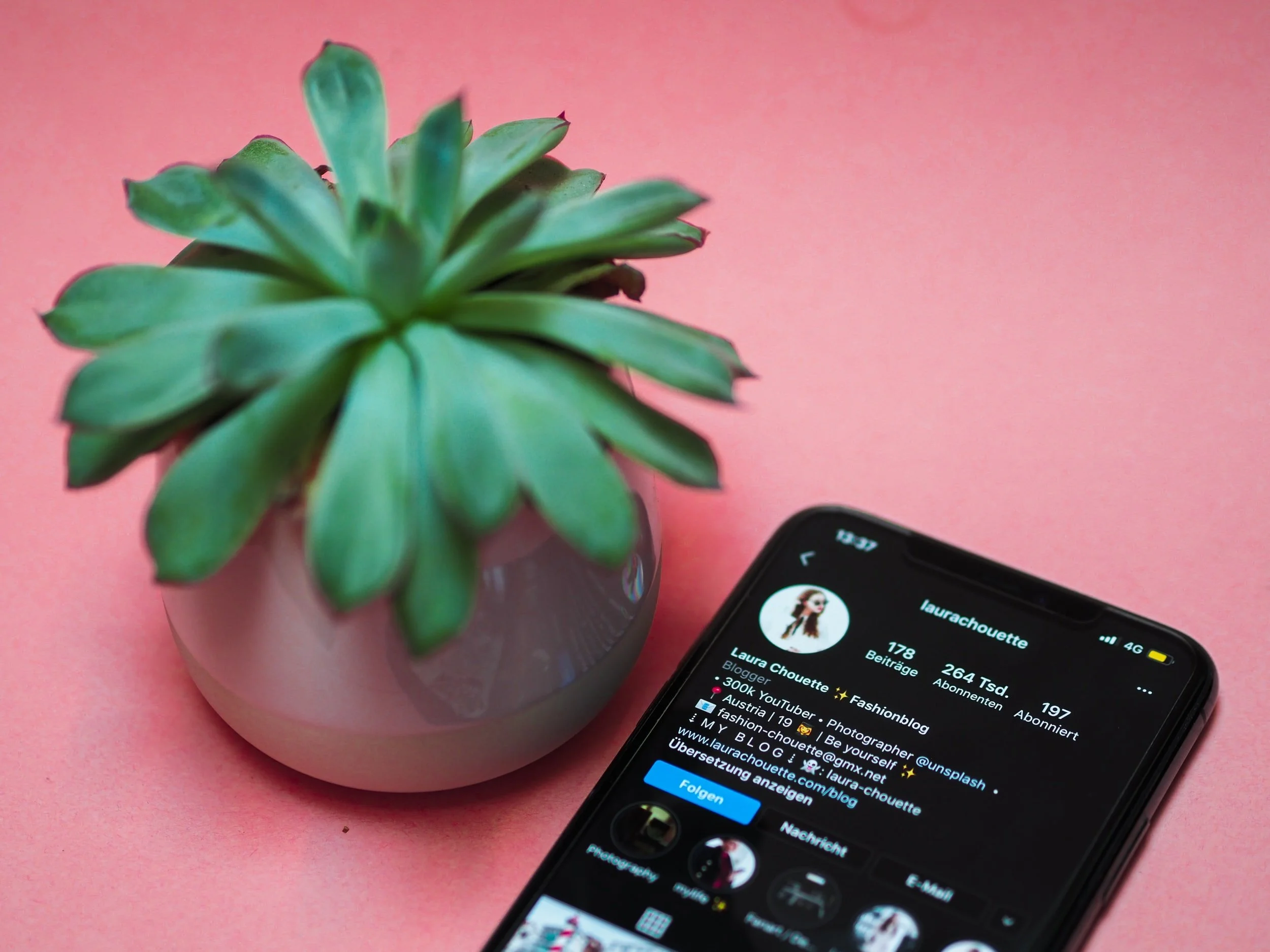 How to Grow an Organic Following on IG