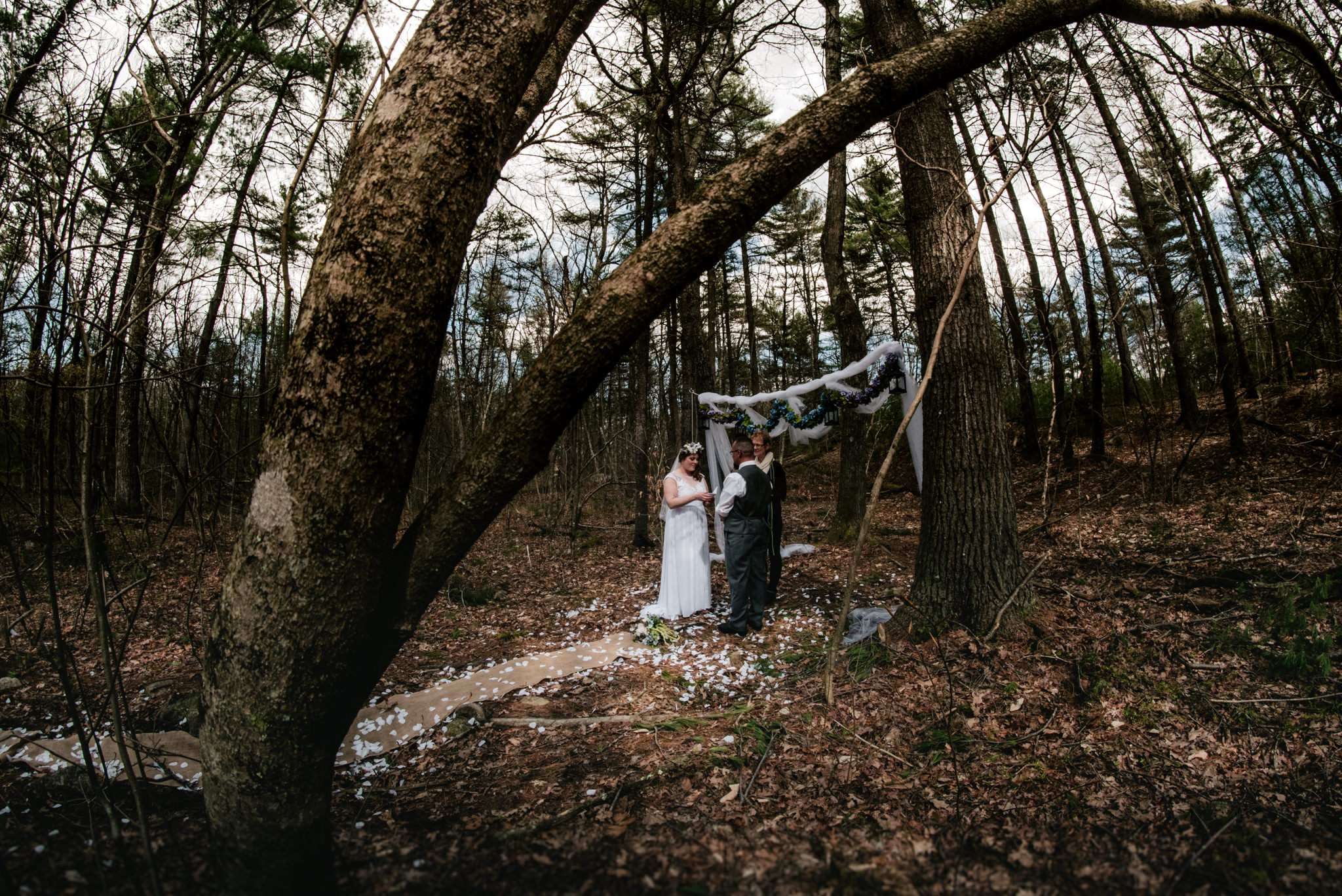 WebSized_NovellaPhotography20180501214.jpg