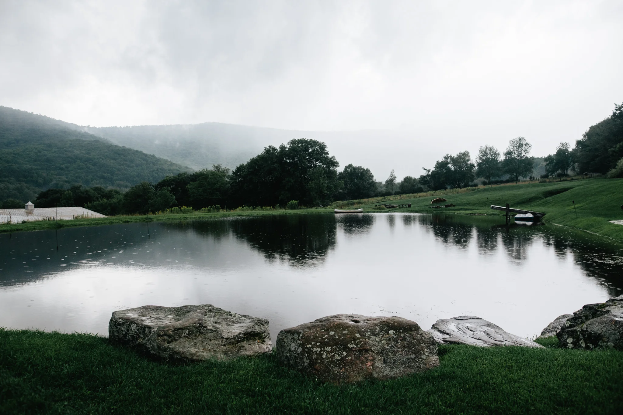 WebSized_NovellaPhotography20180817115.jpg