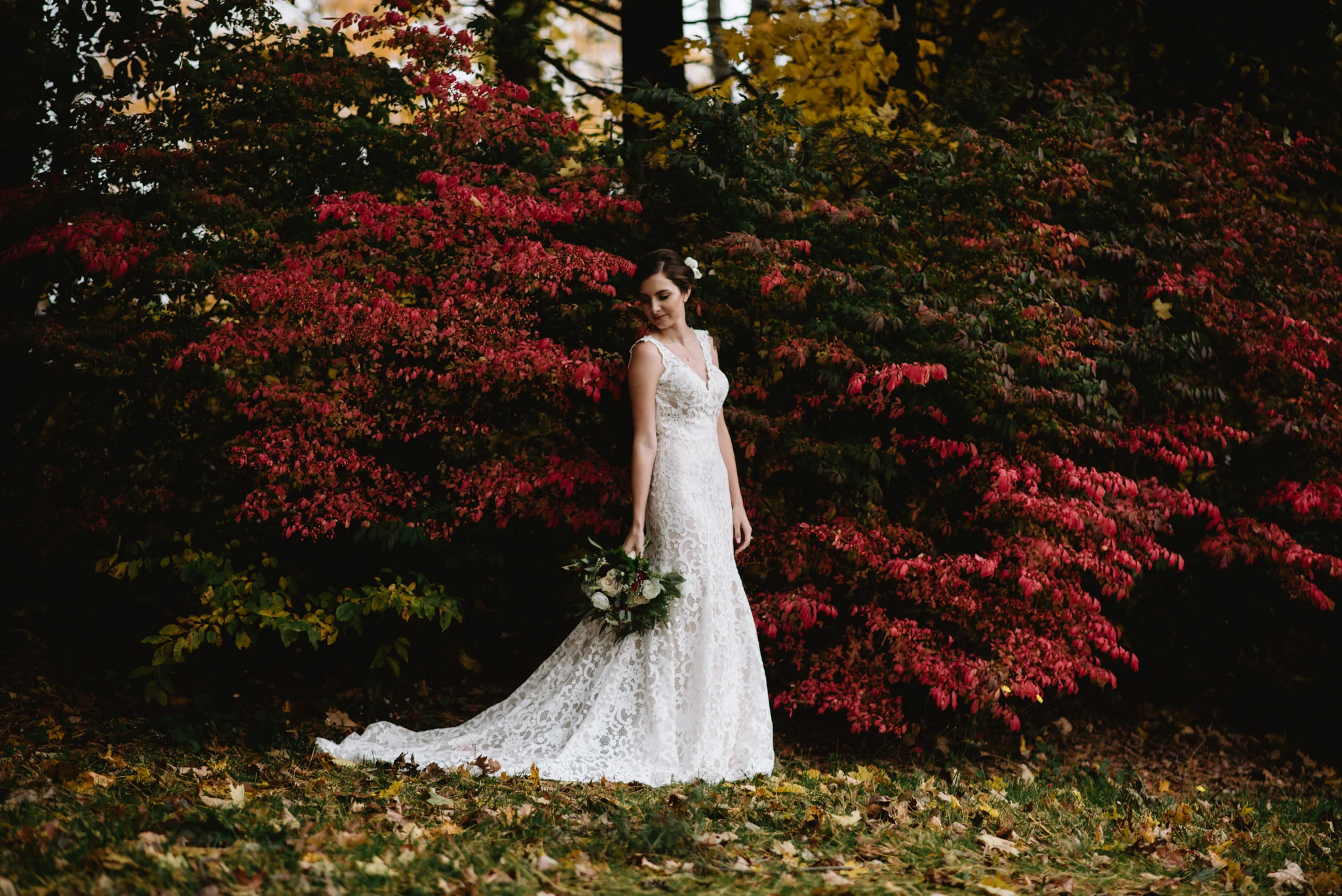 WebSized_NovellaPhotography20181102323.jpg