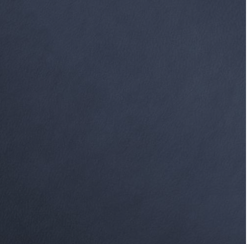 Faux leather (deep blue)