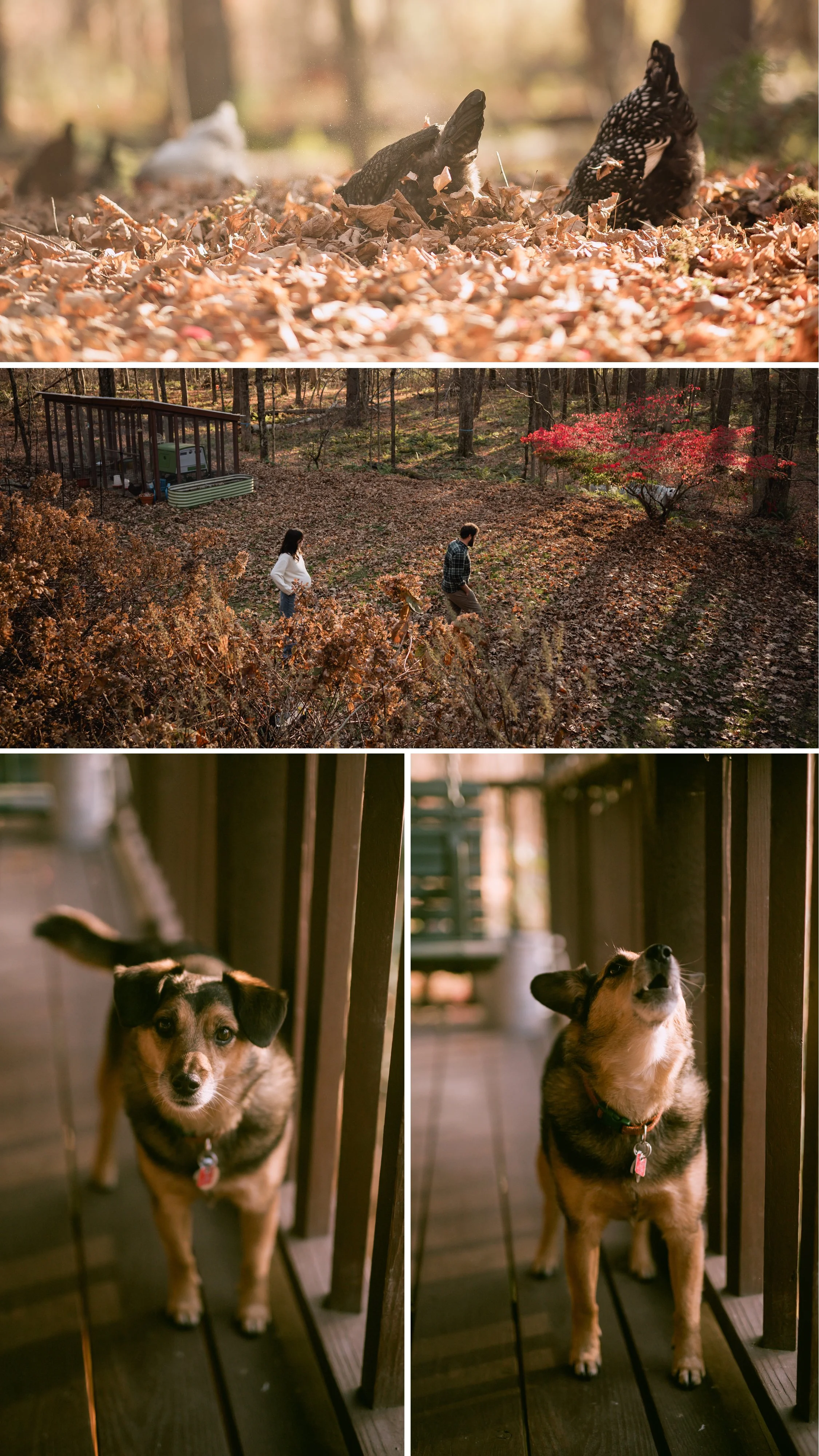 Akiva and carly_1.jpg