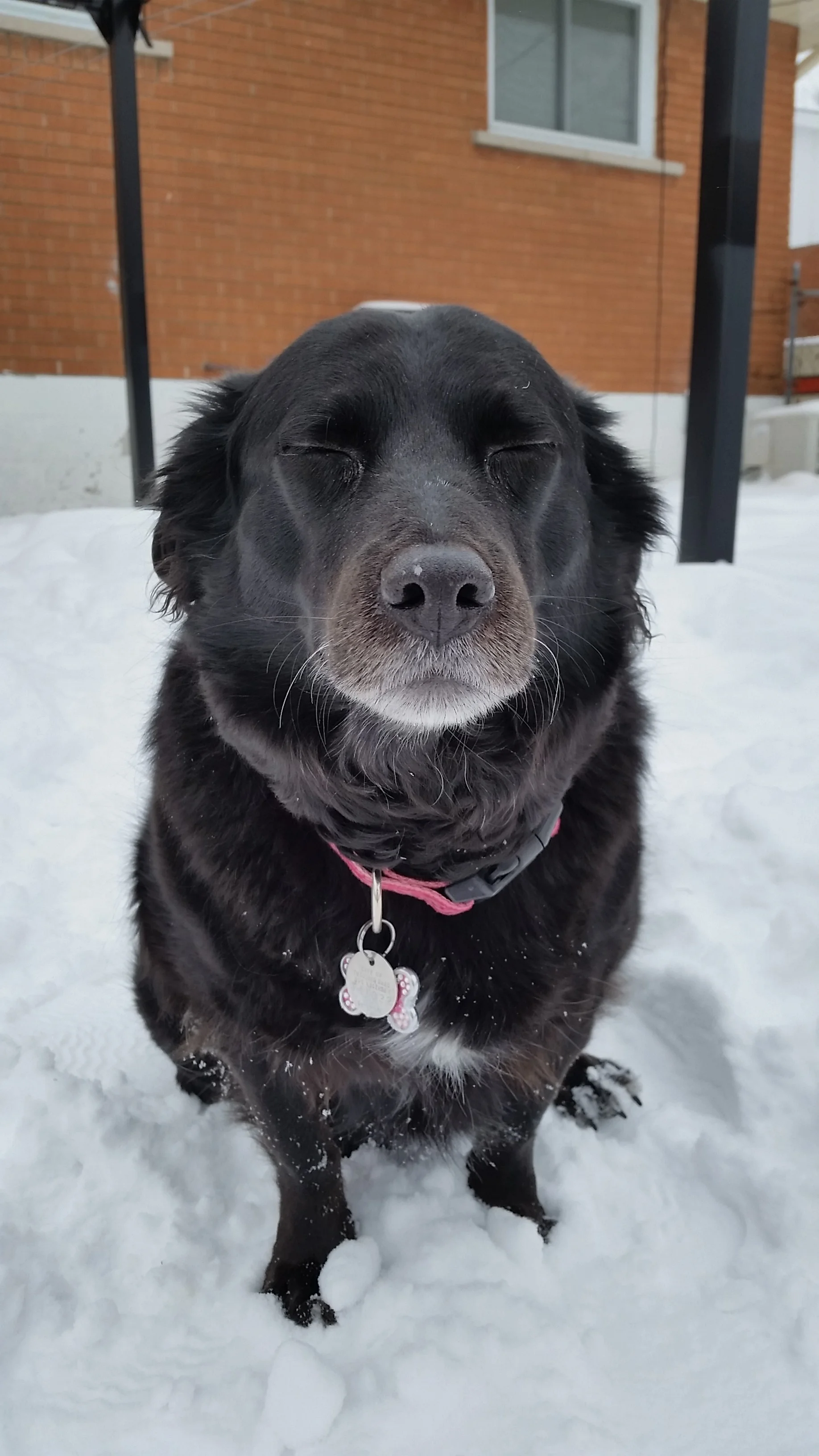 20150209_141006.jpg