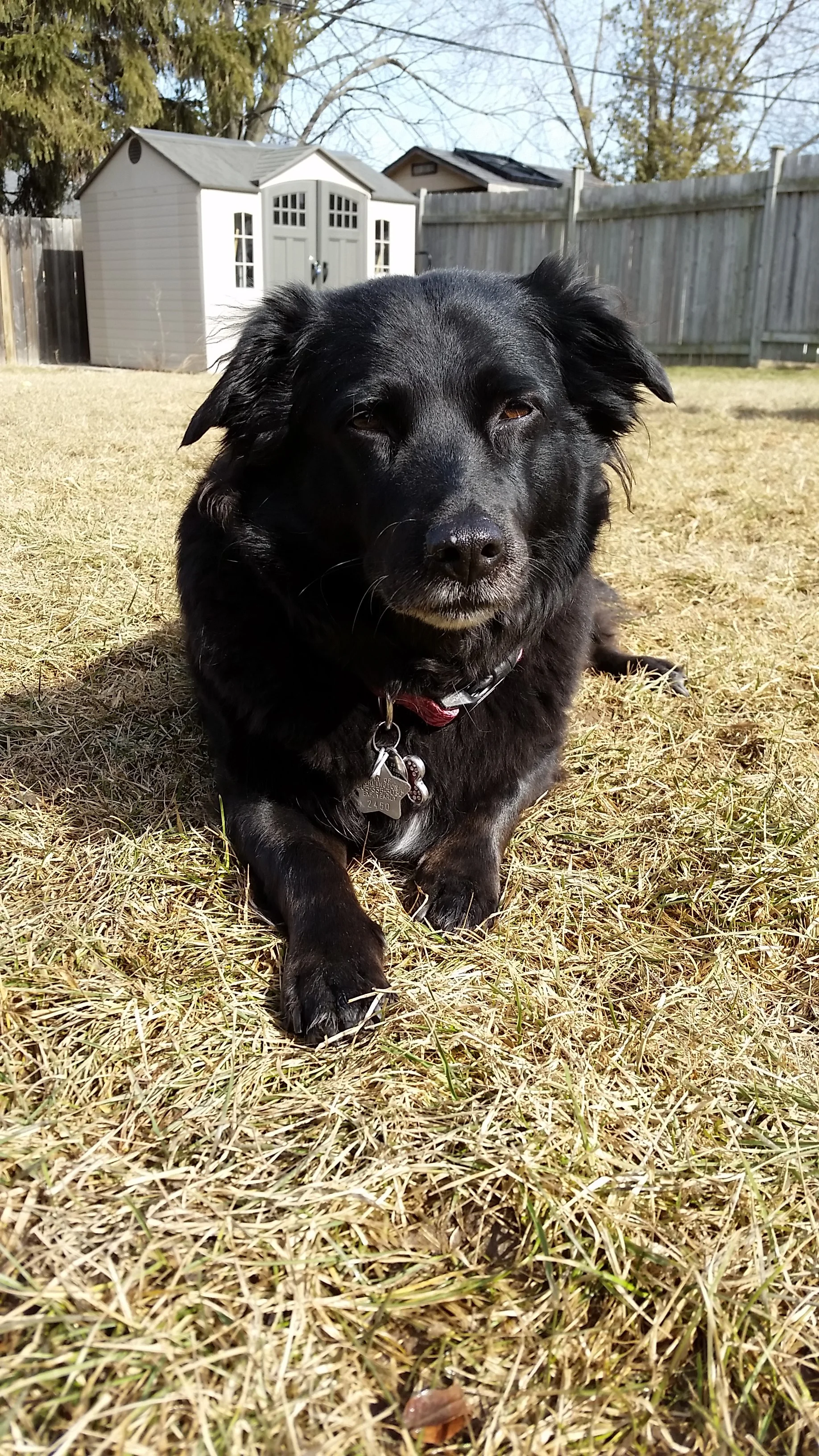 20150319_152705.jpg