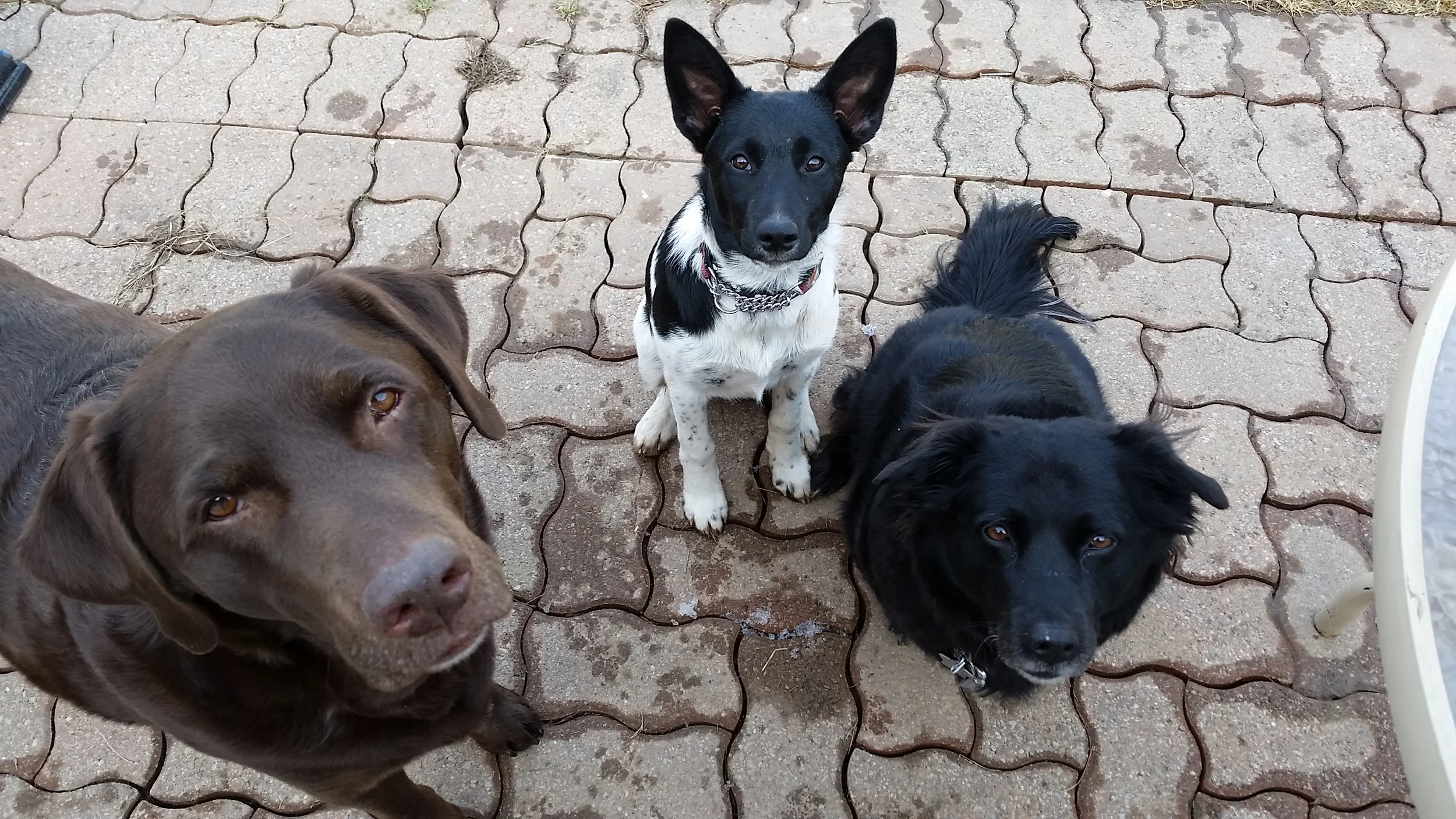20150319_154424.jpg