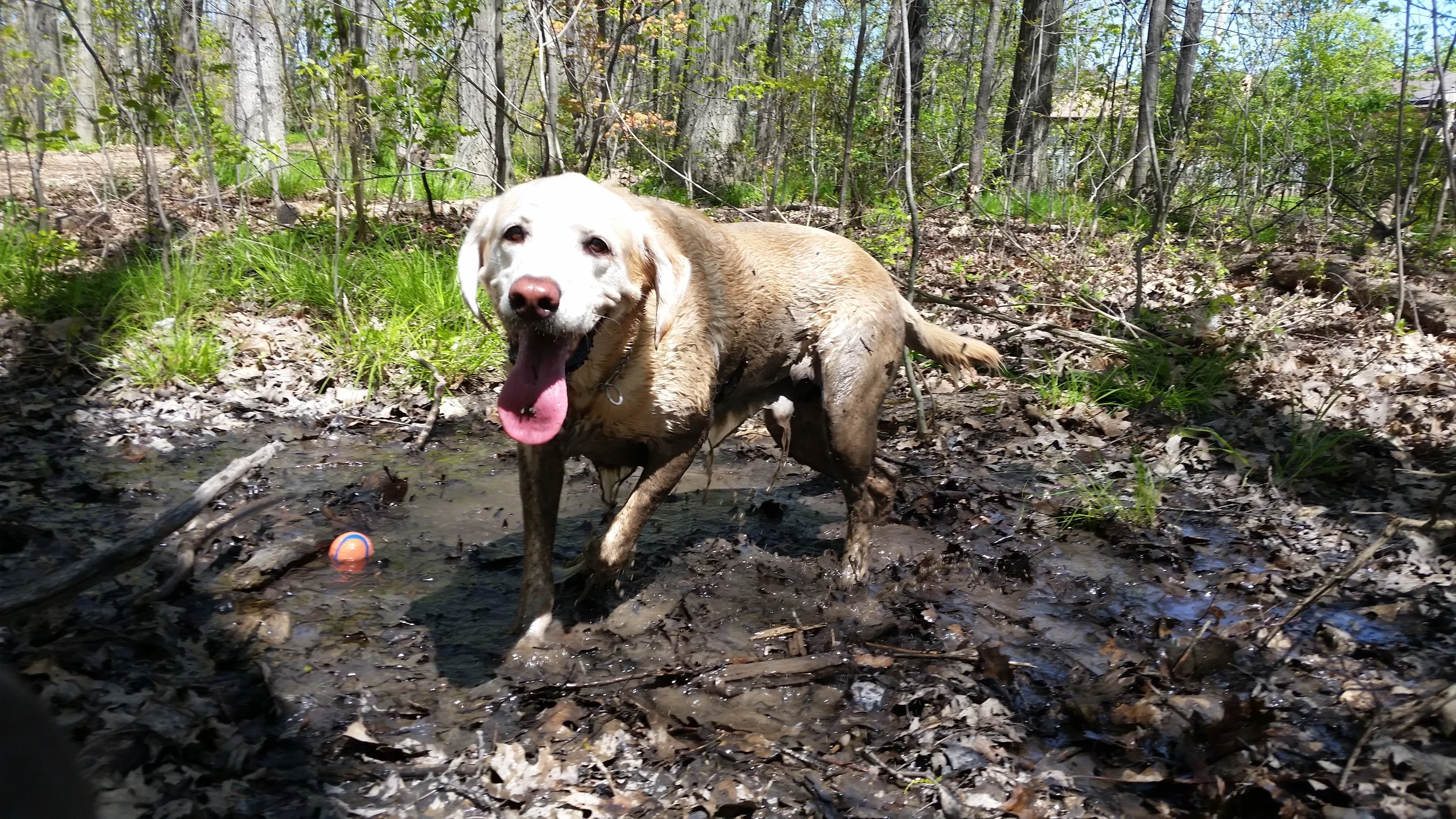 20160518_112617.jpg