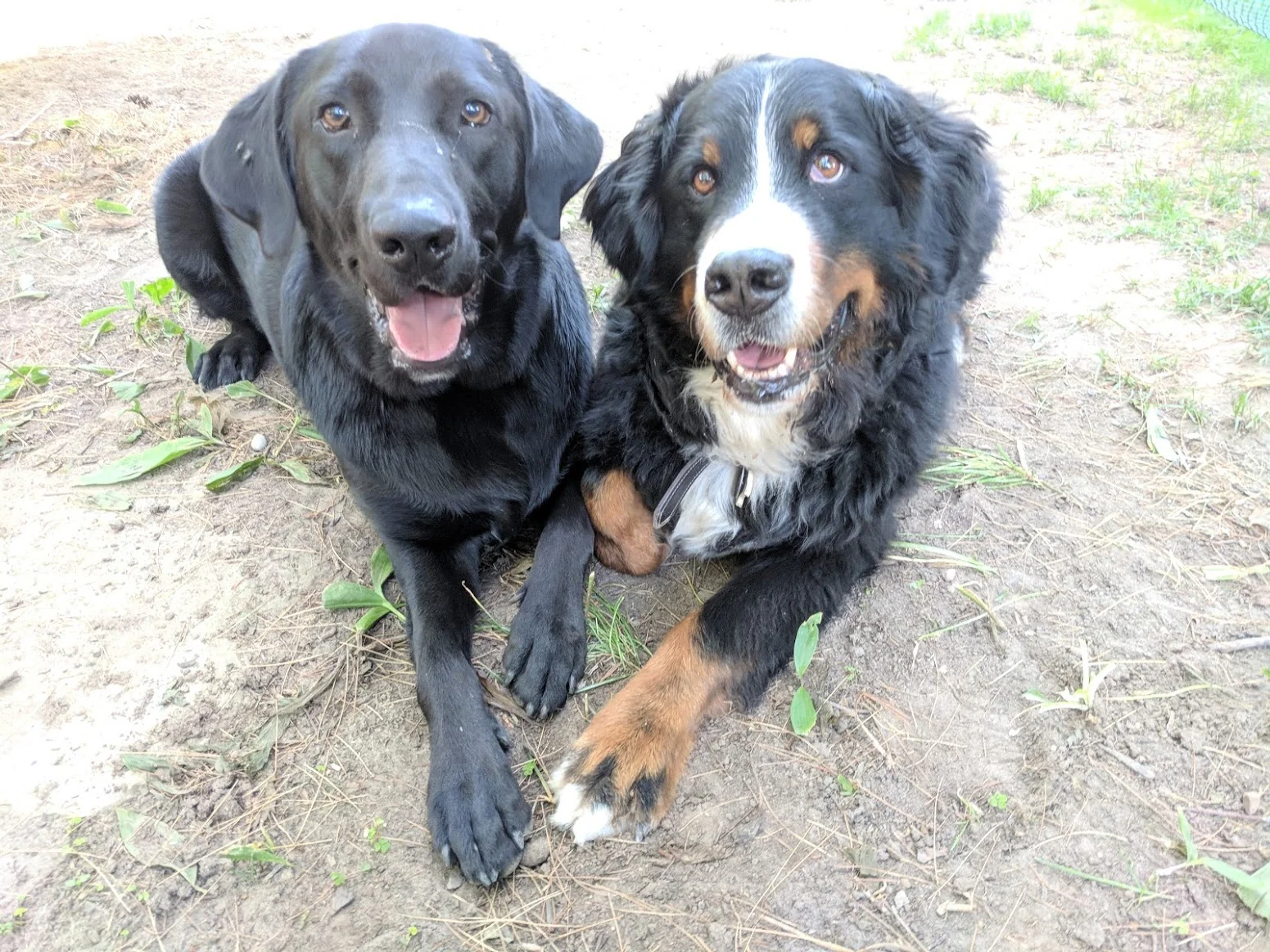 gus n Rip.jpg