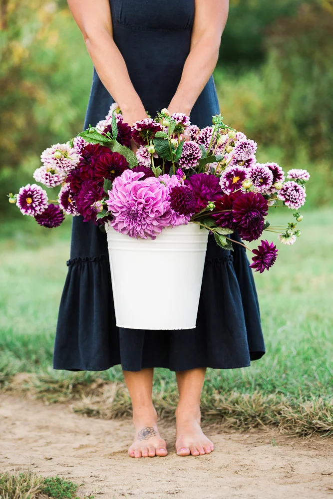Fall on the flower farm