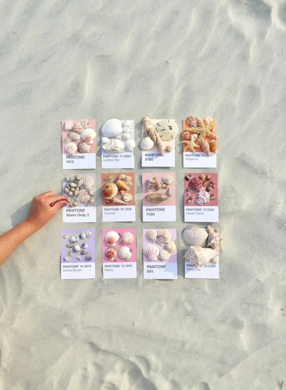 Shells.jpg