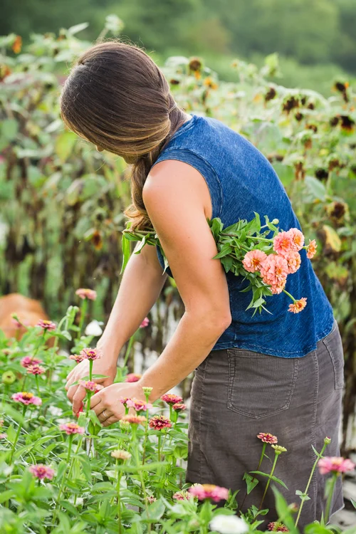 Favorite Sources for Seeds, Supplies, etc.  Flourish Flower Farm
