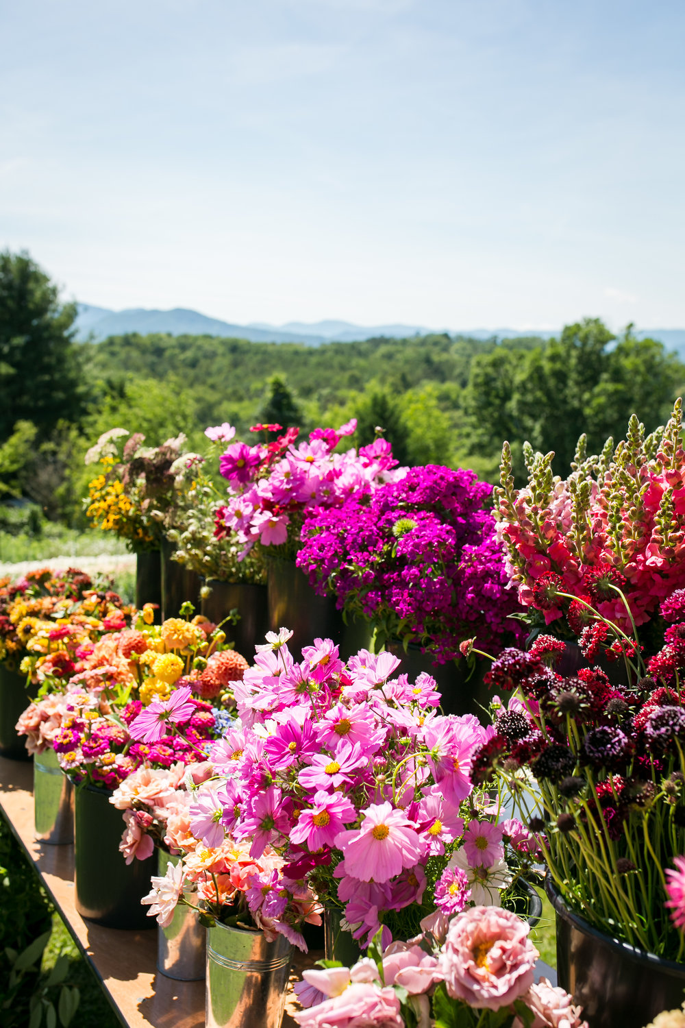 2019_062219_Flourish Flower Farm_An Evening On The Flower Farm Event _ Bella Vie Photography_www.photographybellavie.com-3849.jpg