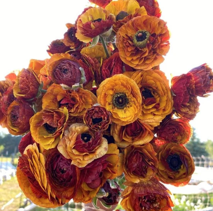 Screen Shot 2023-08-14 at 2.14.45 PM.png