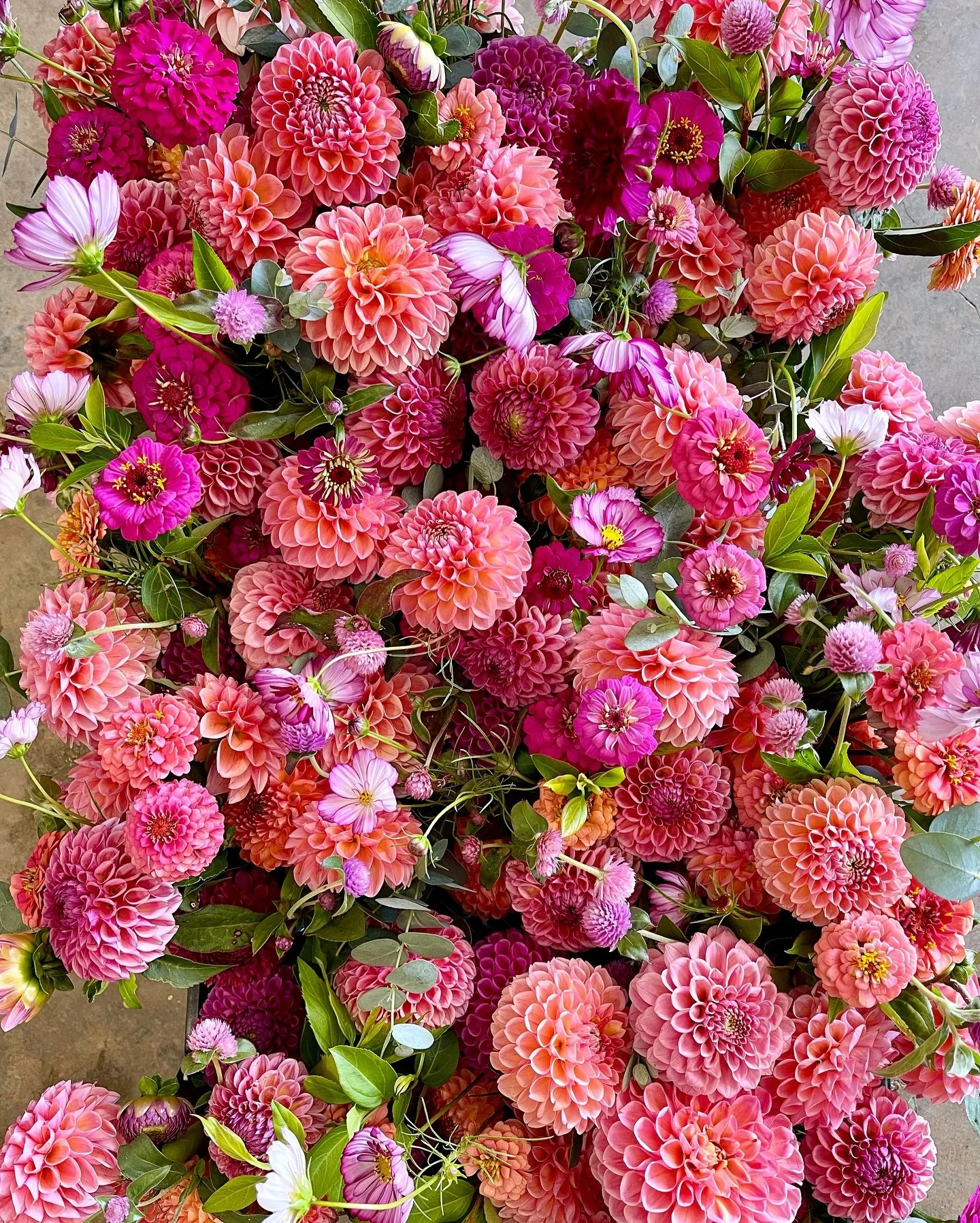 The Farmstand is reopening this weekend! 
With a difficult start to the summer season, we temporarily closed so that we could focus on fulfilling our other flower commitments &amp; promoting new growth - but we finally have healthy, full fields of fl