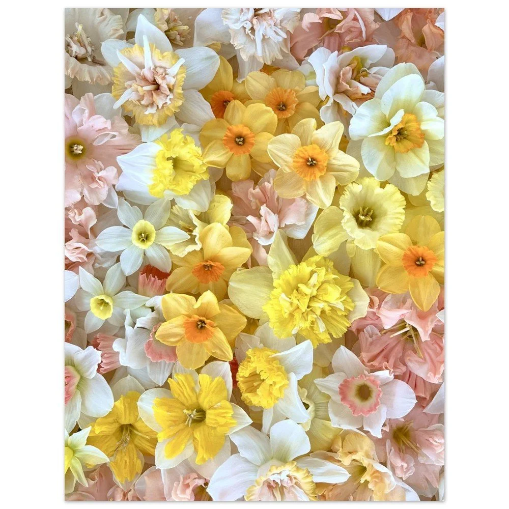 tmp-423-QsylMnWPdtX2