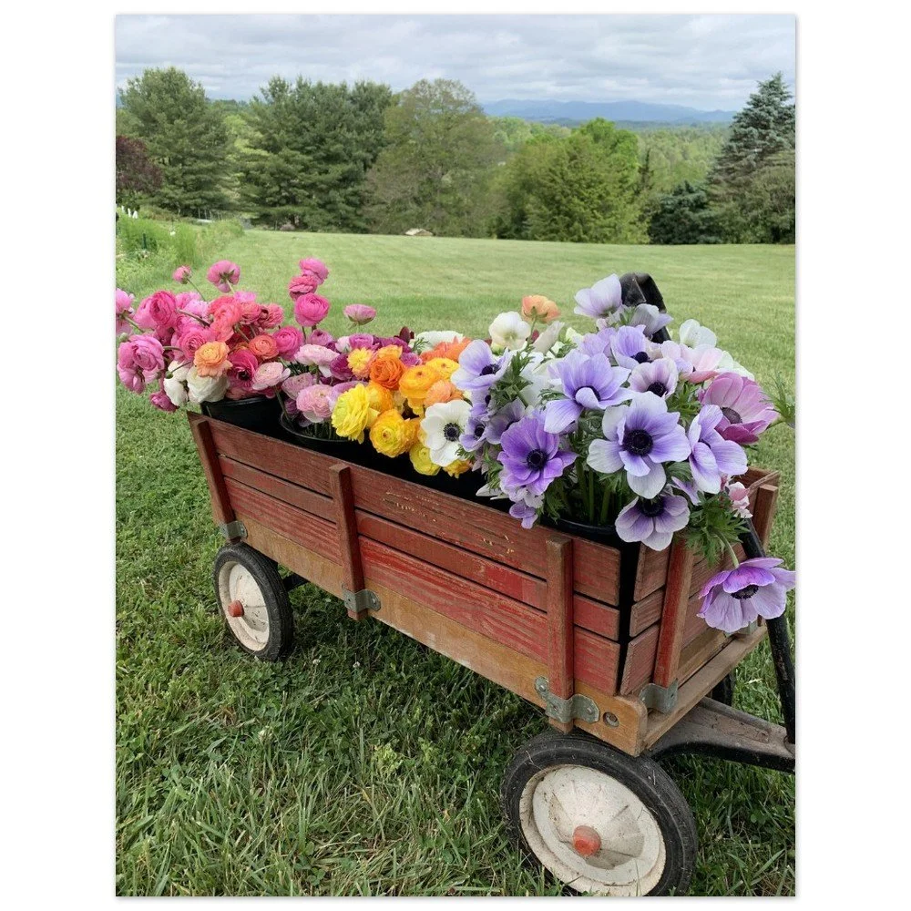 tmp-282-cHig53HqOCWd