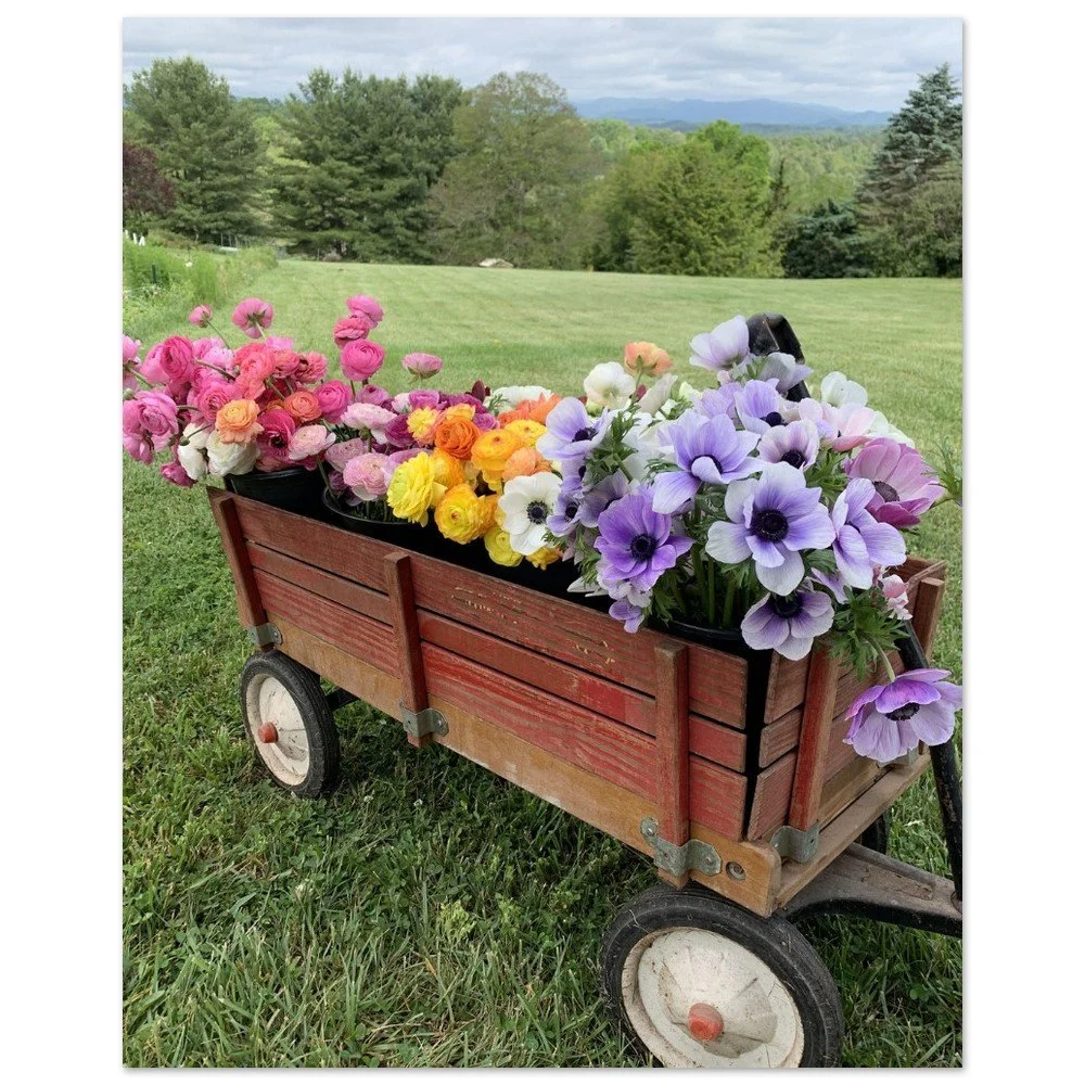 tmp-282-hxq2nhT0dwIy