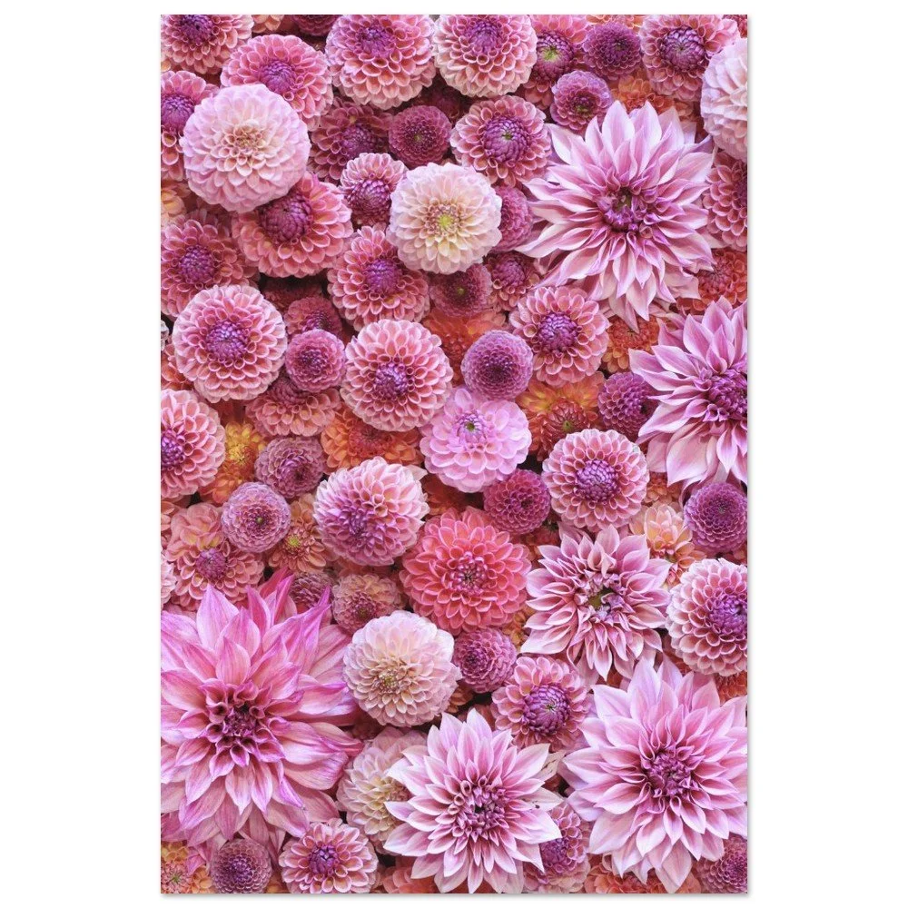 tmp-277-AUzTUgqgCDJq