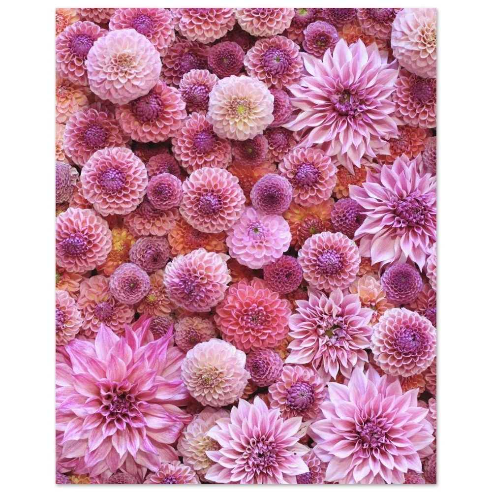 tmp-277-Tjy6I7t1D5YJ