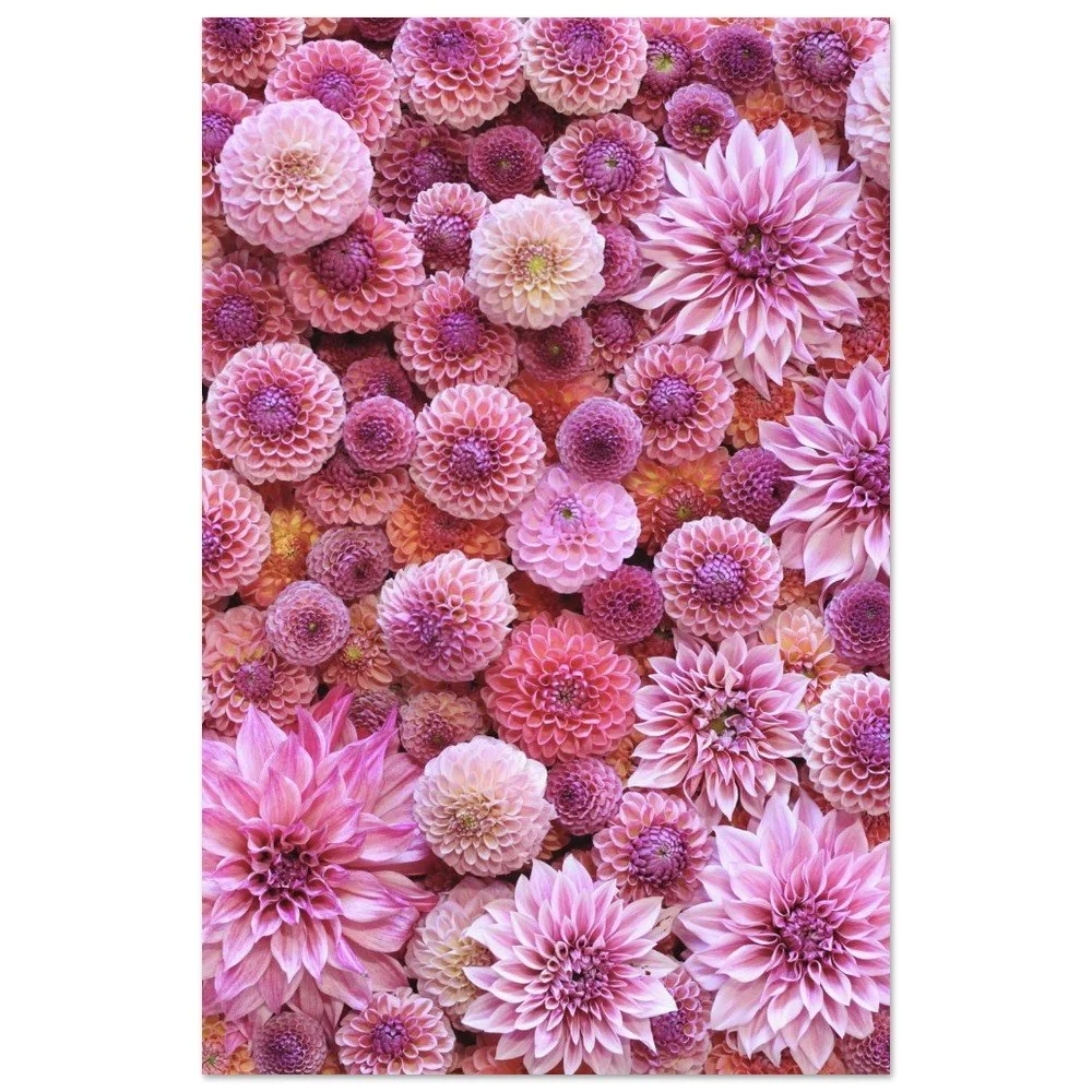 tmp-277-CQyZA36uEaZr