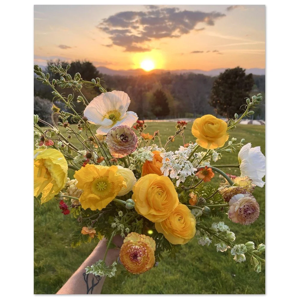 tmp-332-XVqaQa9KKXZv