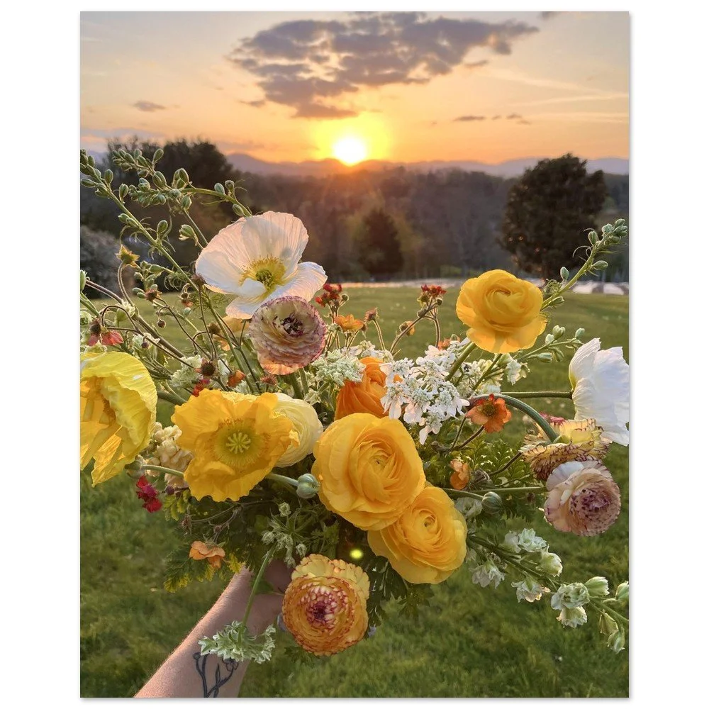 tmp-332-WHxGLkutIZqh