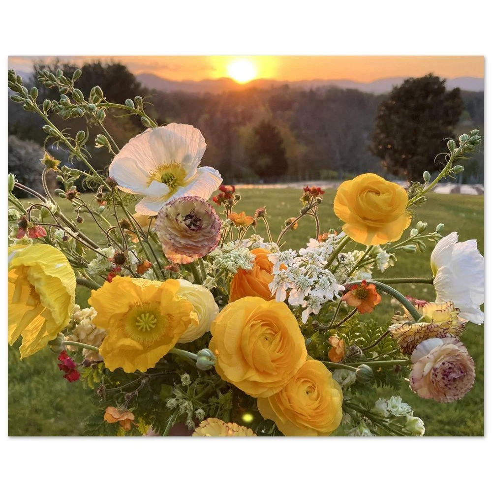 tmp-332-Bloo3UFBlHcF