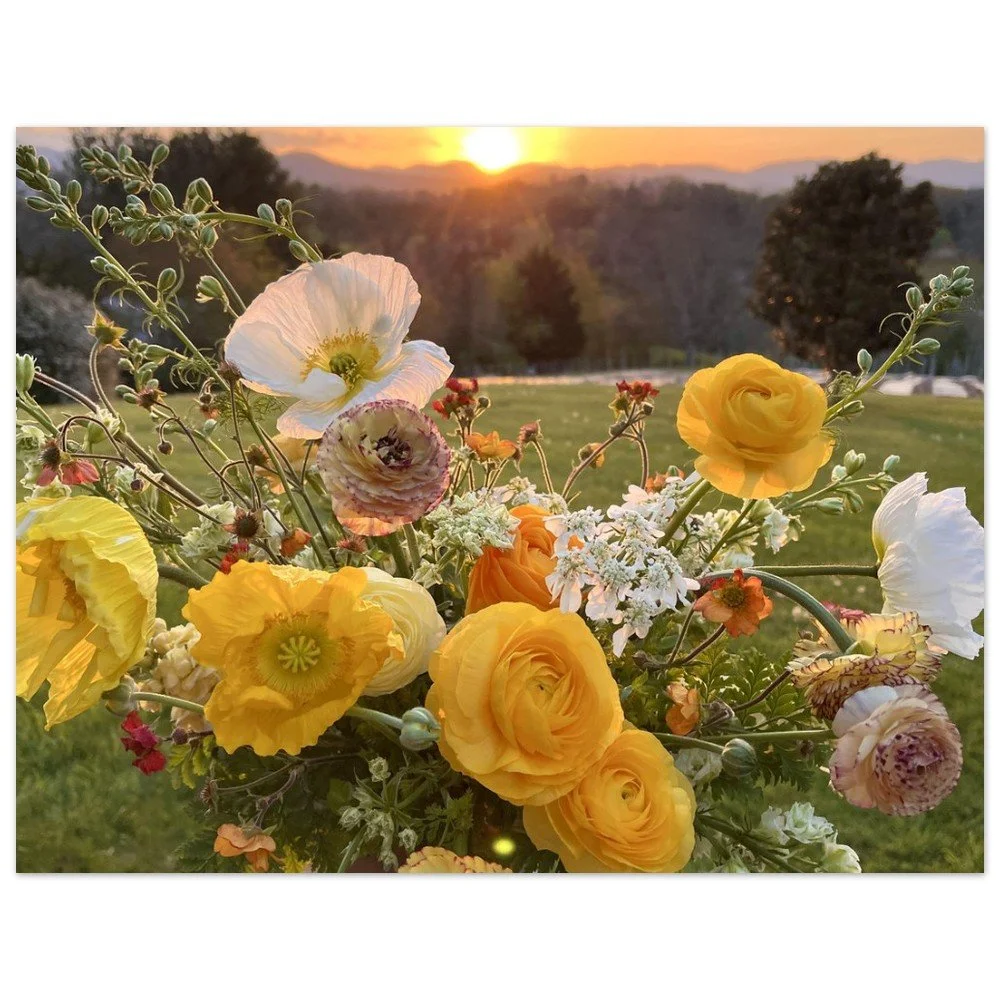 tmp-332-1hY9VNV43tr4