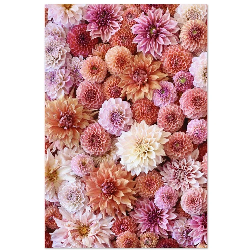 tmp-354-Ft2LGSIoBkyw