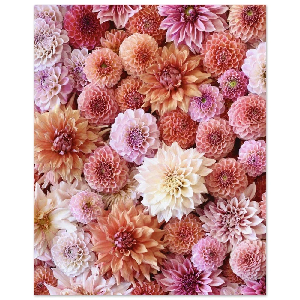 tmp-354-9p1Mg3ZMr7WR