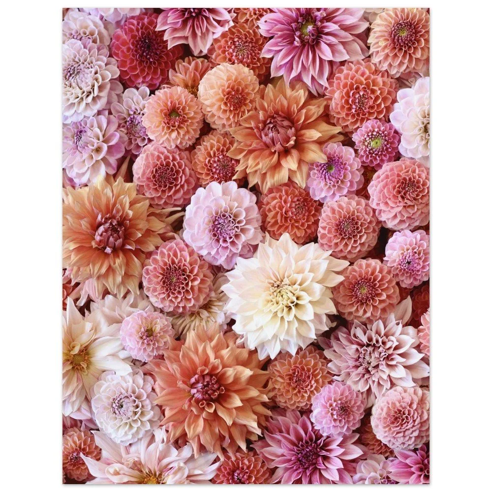 tmp-354-JFr7uMTxXKgW