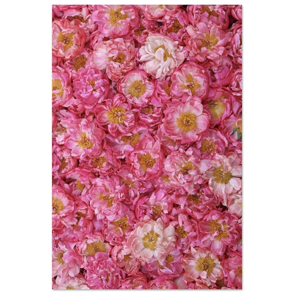 tmp-399-gTndxucmfuLC