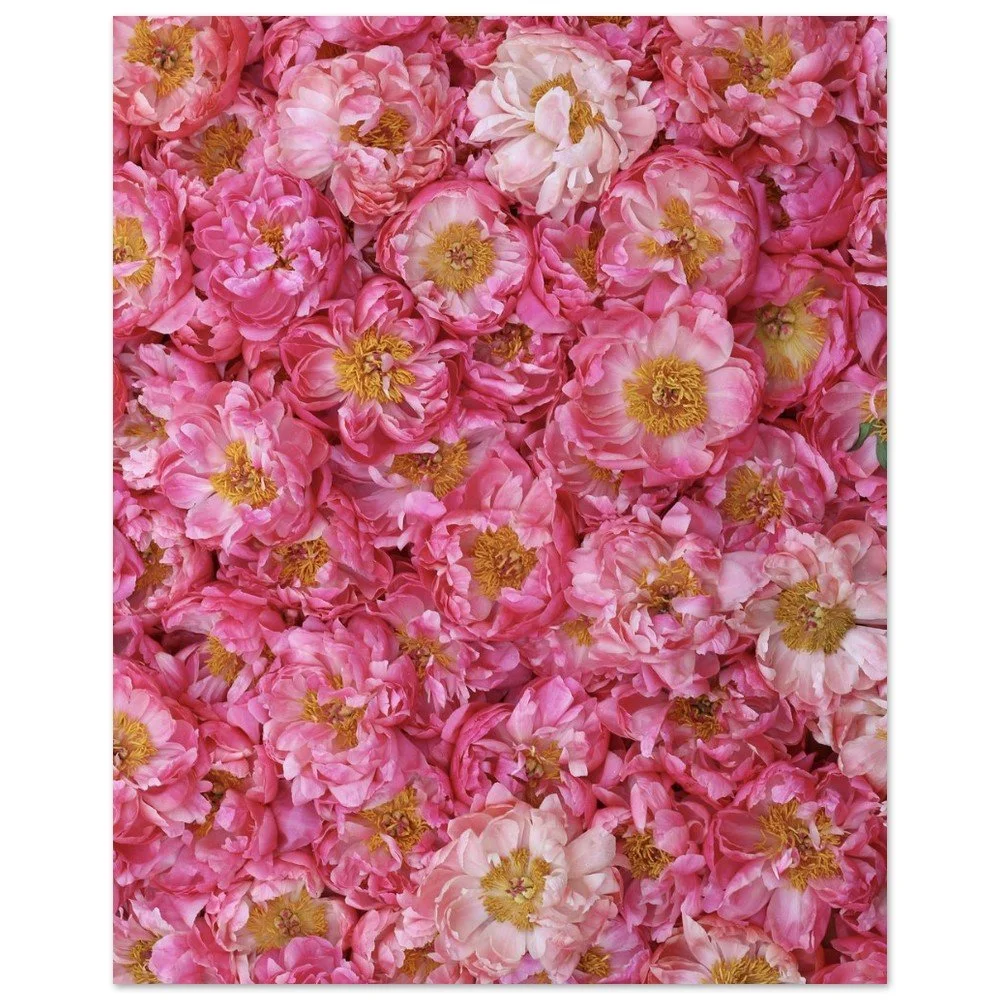 tmp-399-NxDHBkZ4vkn8