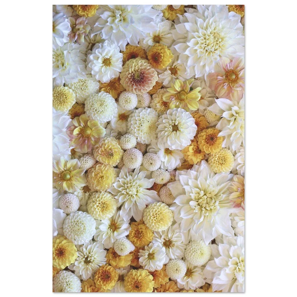 tmp-431-FnZB7XFik9cL