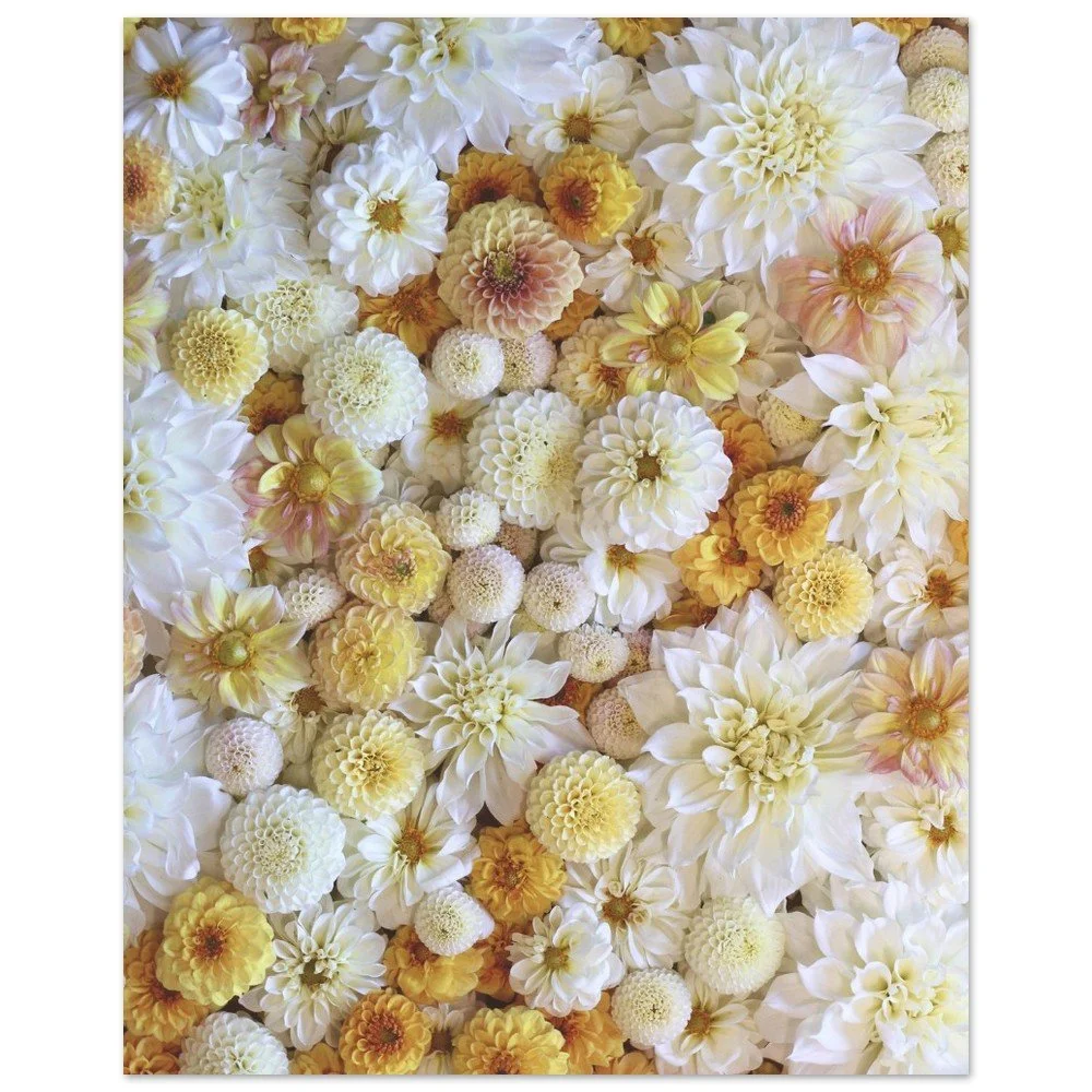 tmp-431-GtWSYZfm3pkx