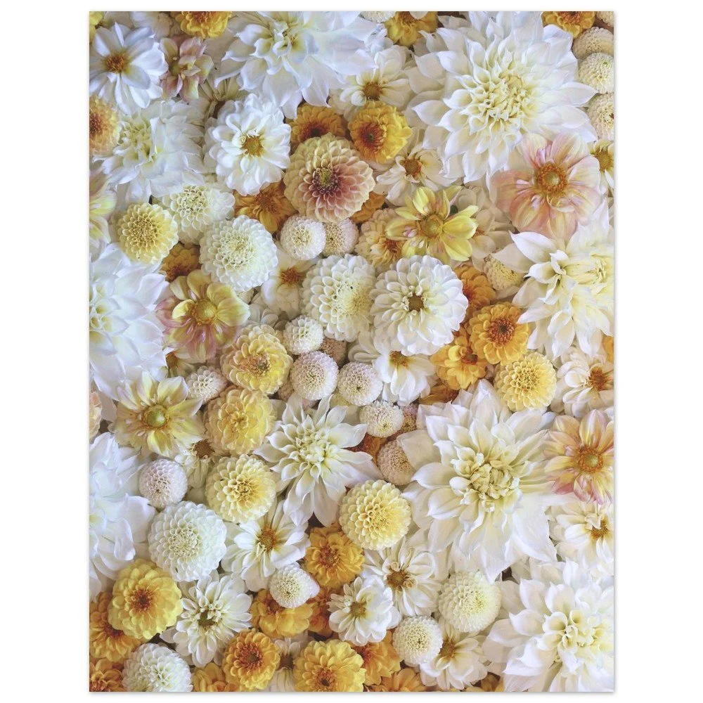 tmp-431-1HAght3hzzCZ