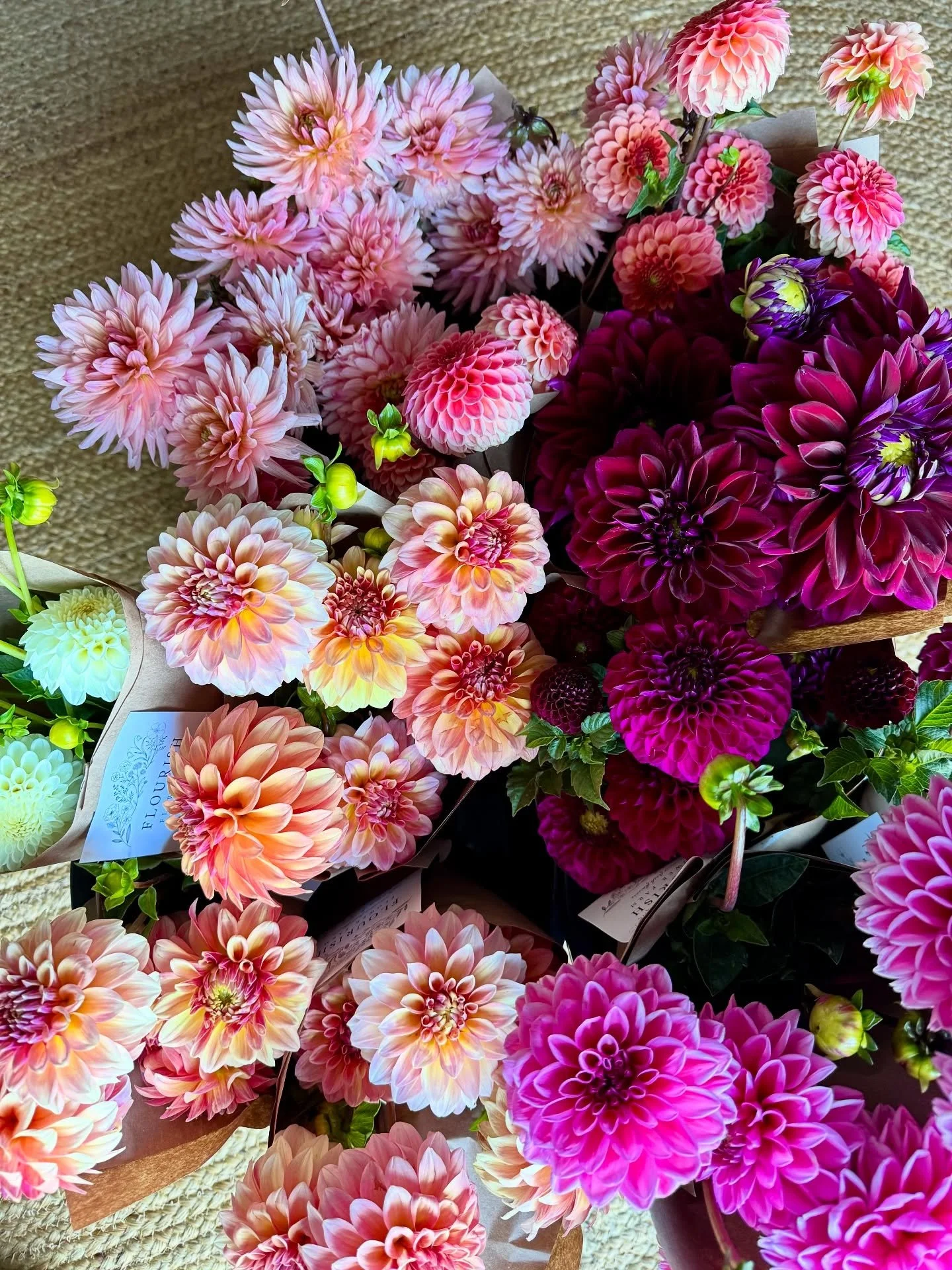 Pretty things at the Farmstand this weekend ✨