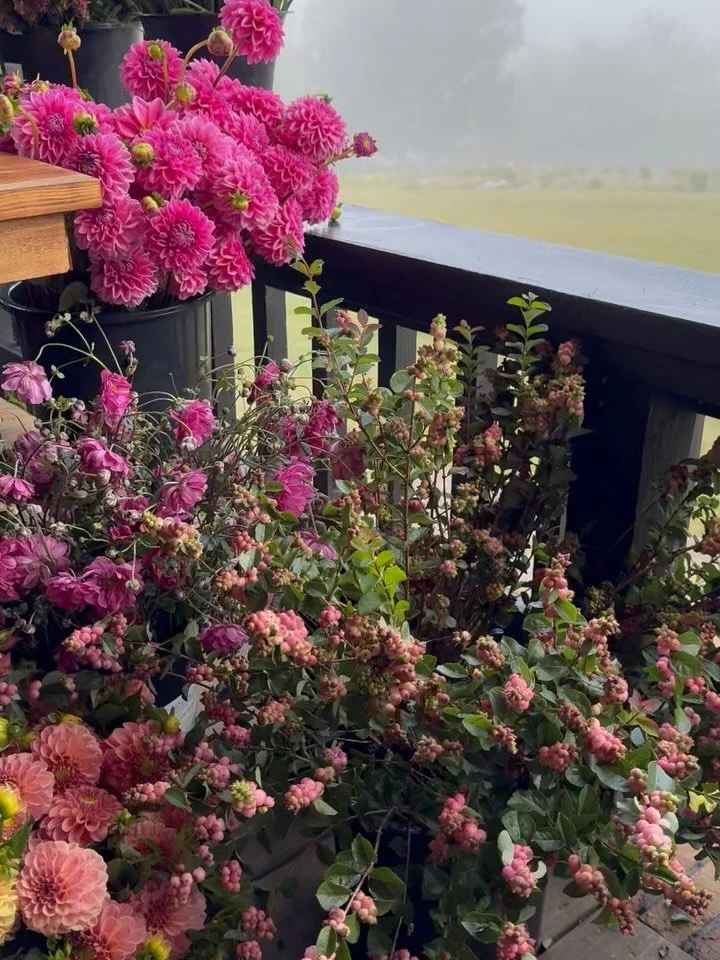 I&rsquo;ve probably spent less time on social media this year than ever before - and not intentionally. Each day is filled with so many beautiful flowers and people to share them with, and I&rsquo;ve been enjoying being in the present moment. But als