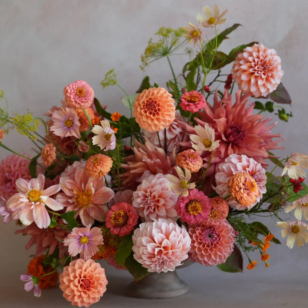 Hello Autumn 🍂 
The leaves are slowly changing and there is a crispness to the air. We&rsquo;re shifting our focus on the farm from production and harvesting, to planning and preparing for next spring. I love this time of year because we can celebra