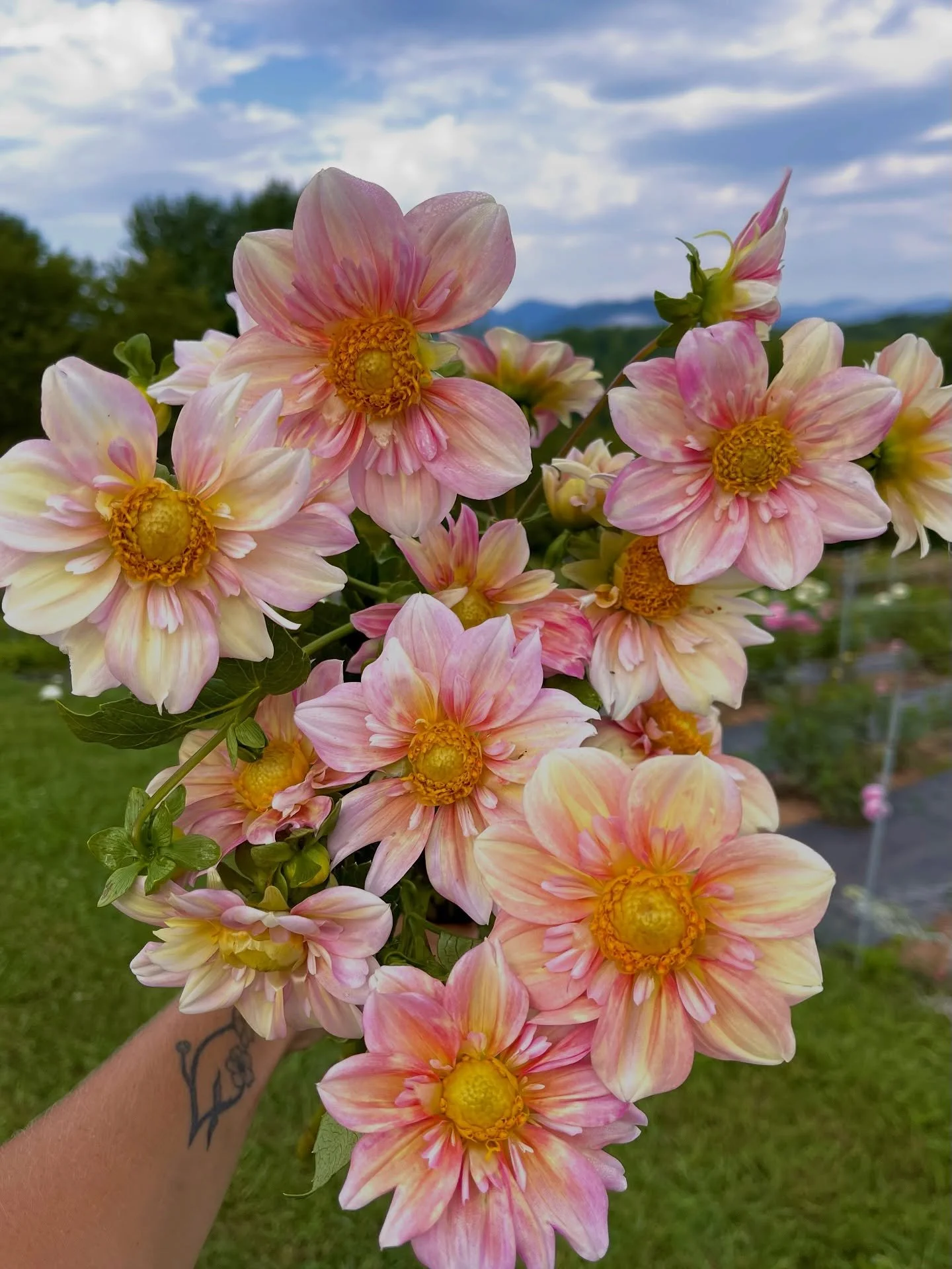 Every season on the farm has its own rhythm, and our workshops are one of my favorite ways to share that beauty with you. There&rsquo;s something special about gathering together, sharing armloads of fresh flowers, and creating something beautiful si