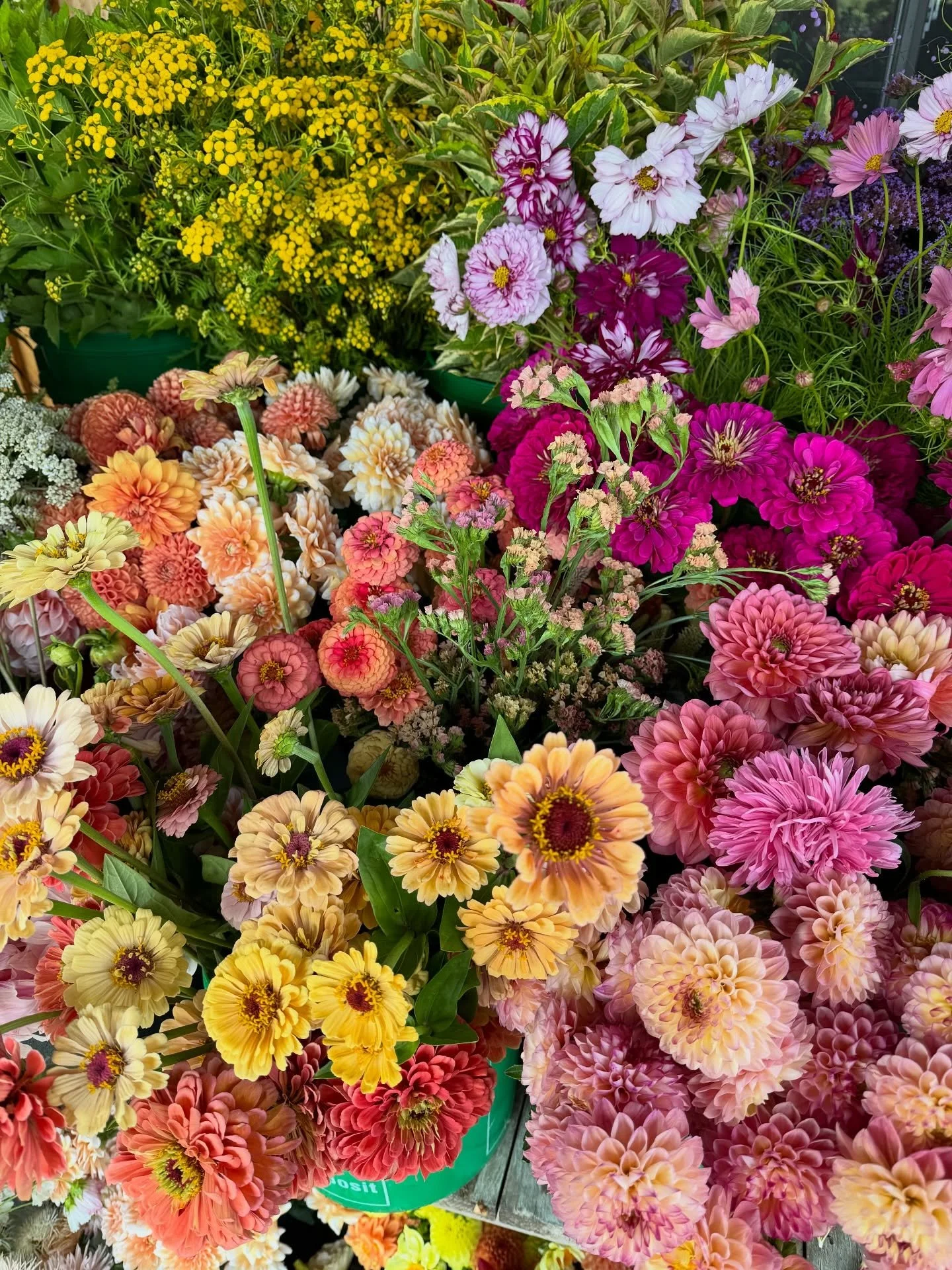 If you&rsquo;ve been dreaming of starting a flower farm&mdash;or you&rsquo;re already growing and want a more efficient, profitable path&mdash;Flower Farming 101 is our most comprehensive workshop. Over the course of two full days, we cover everythin