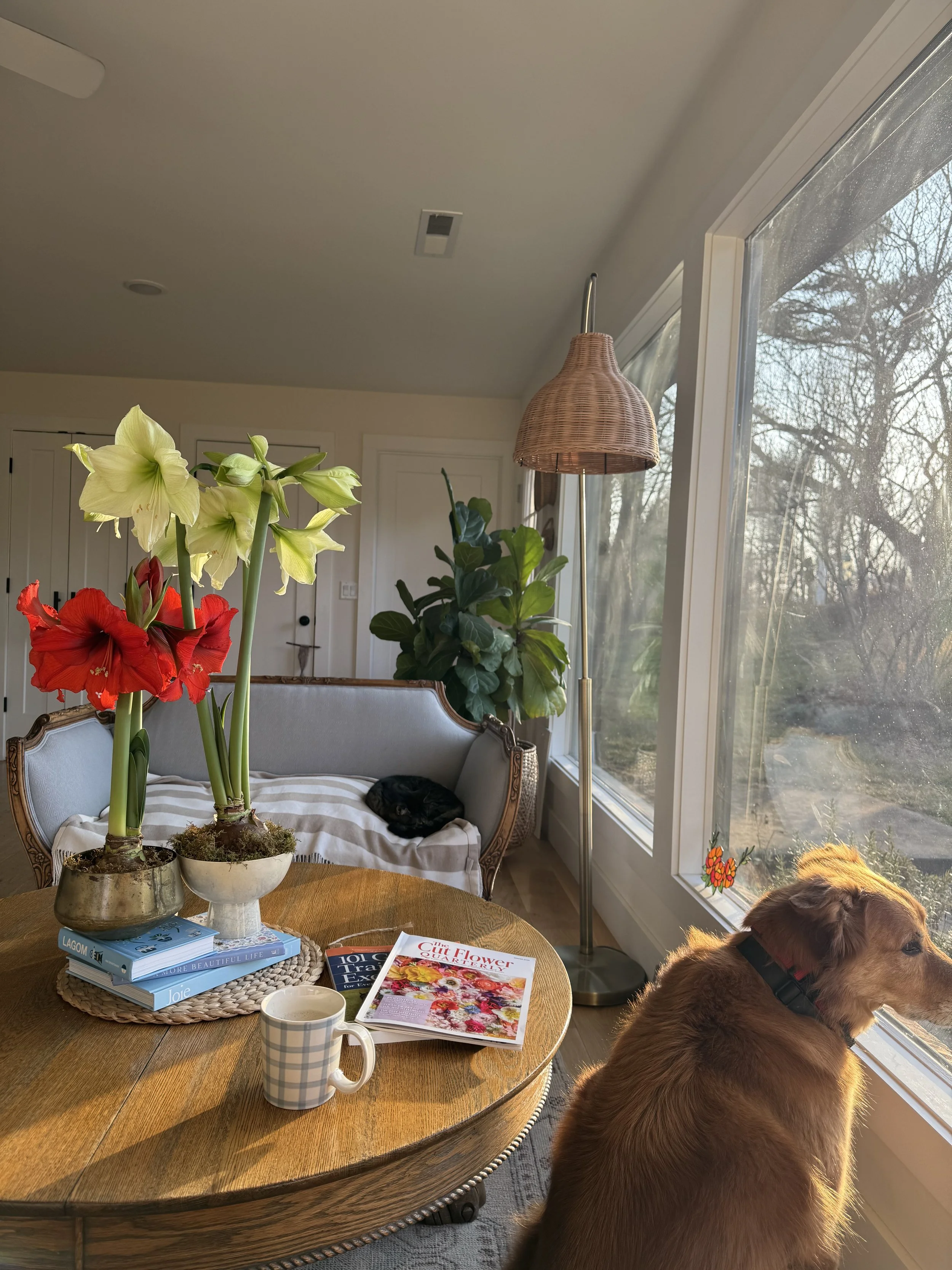 January, cozy winter mornings.jpeg