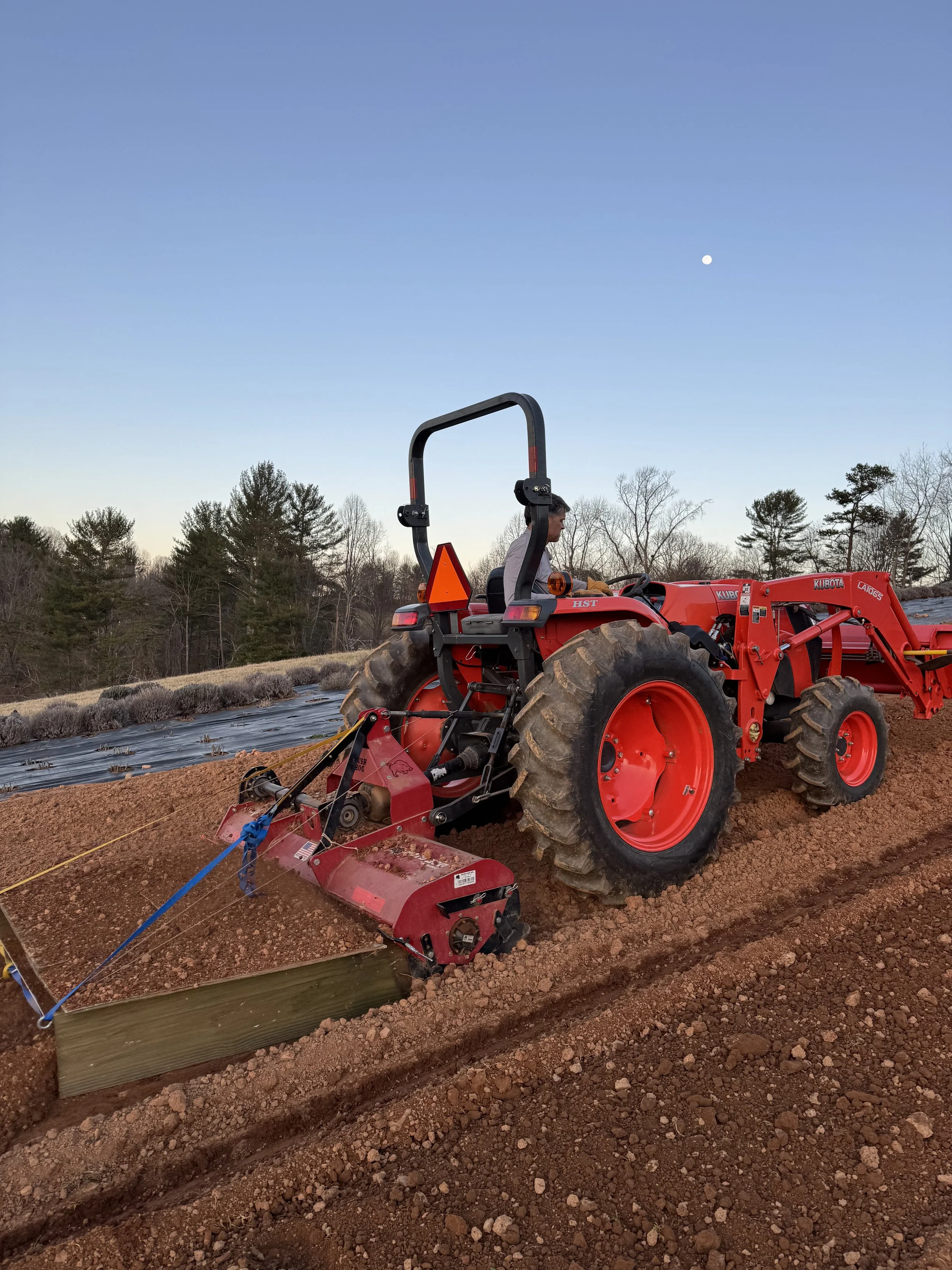 March, field prep for annual flowers.jpeg