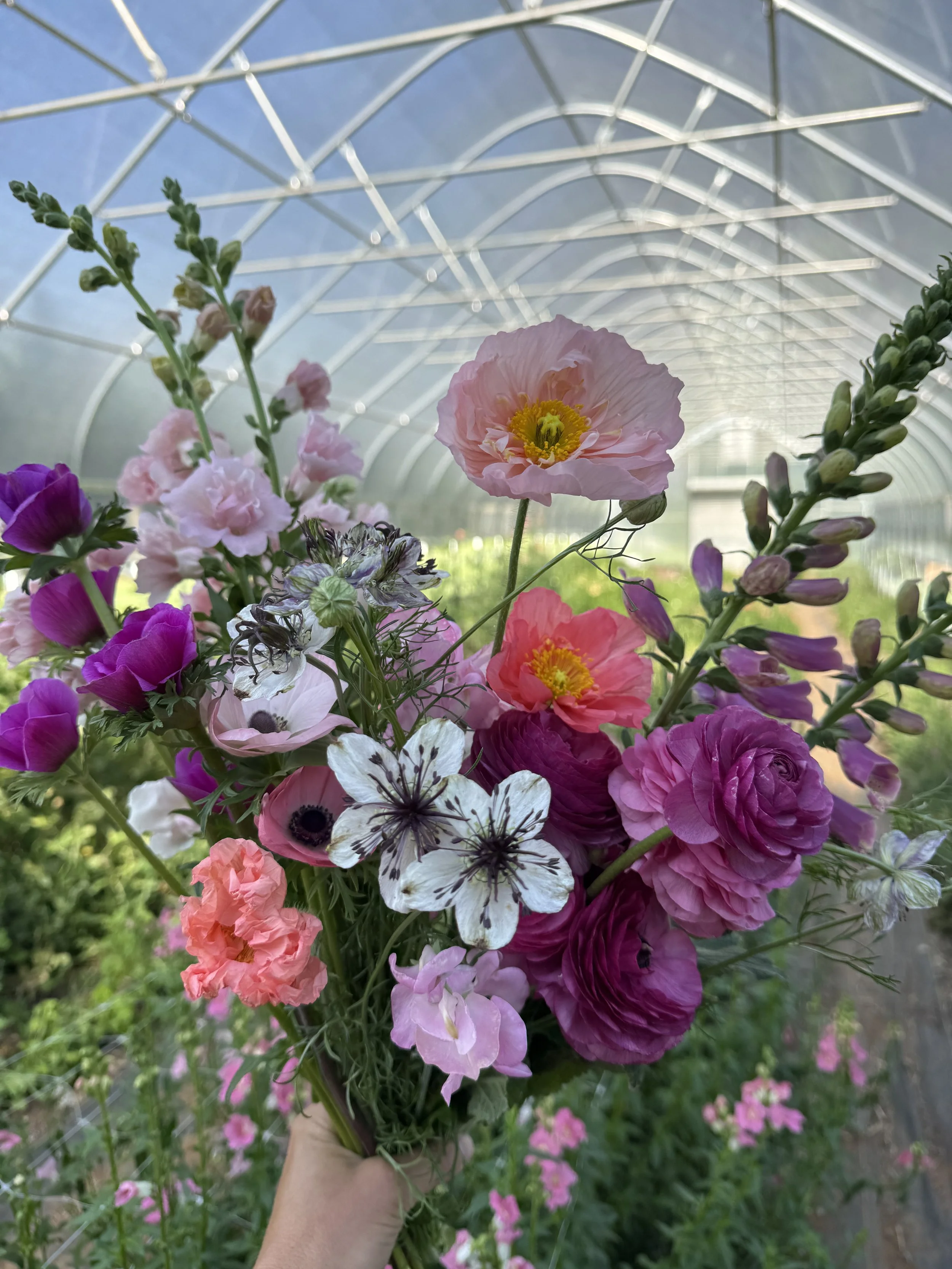 April, lots of varities of flowers blooming now.jpeg