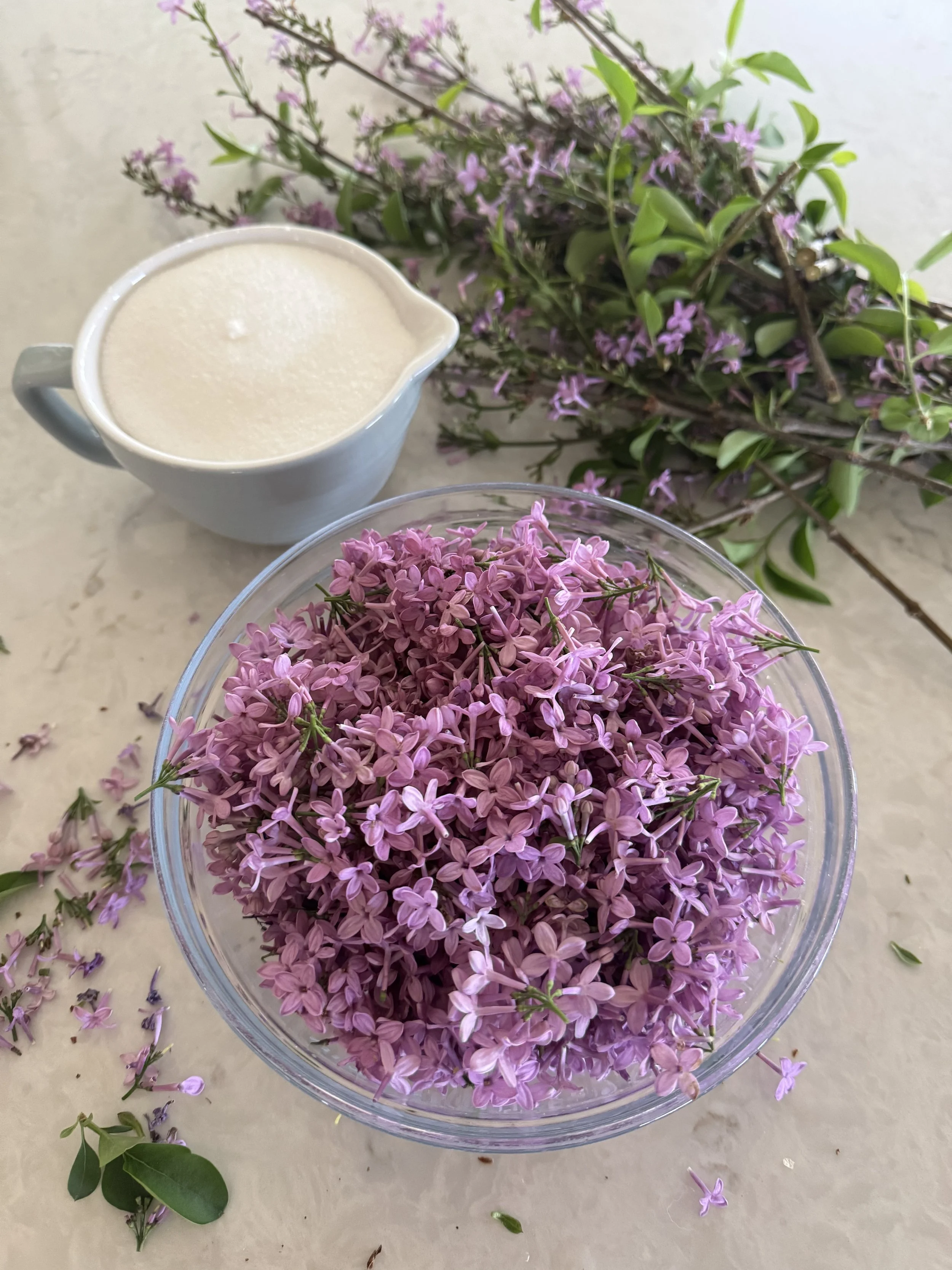 April, making lilac simple syrup.jpeg
