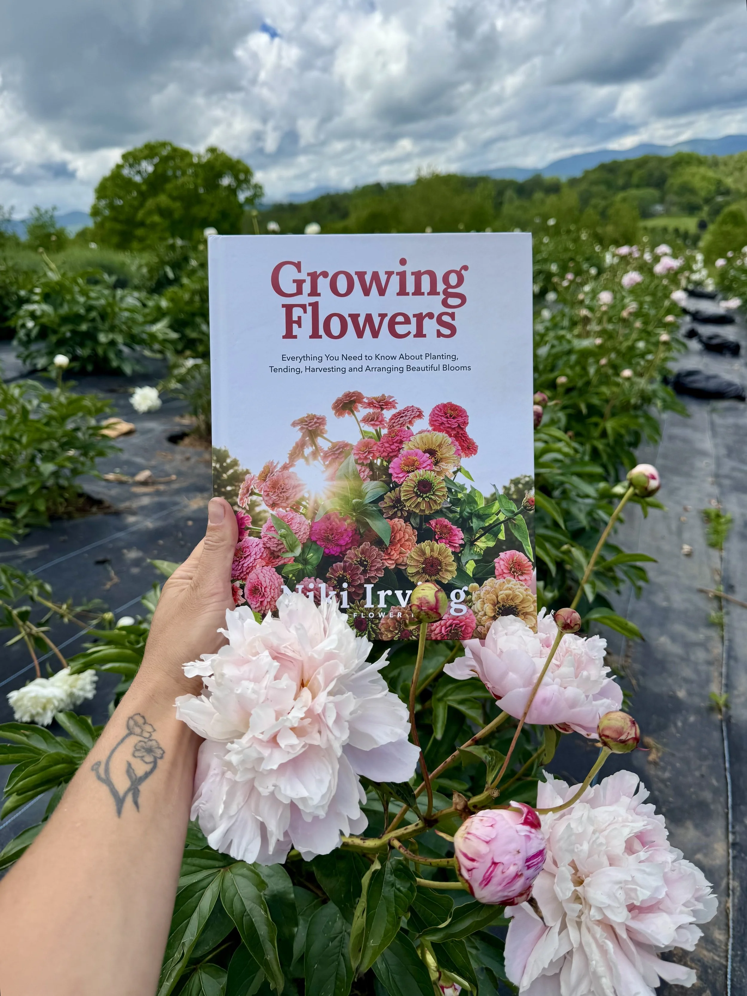 May, re-edition of my book.jpeg